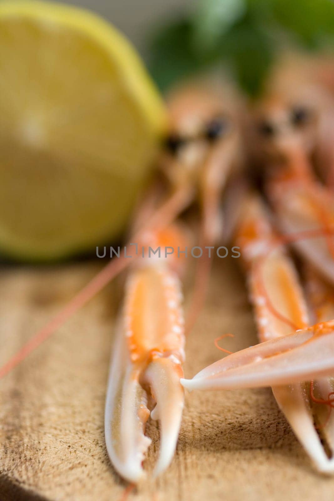 Close up of fresh scampi