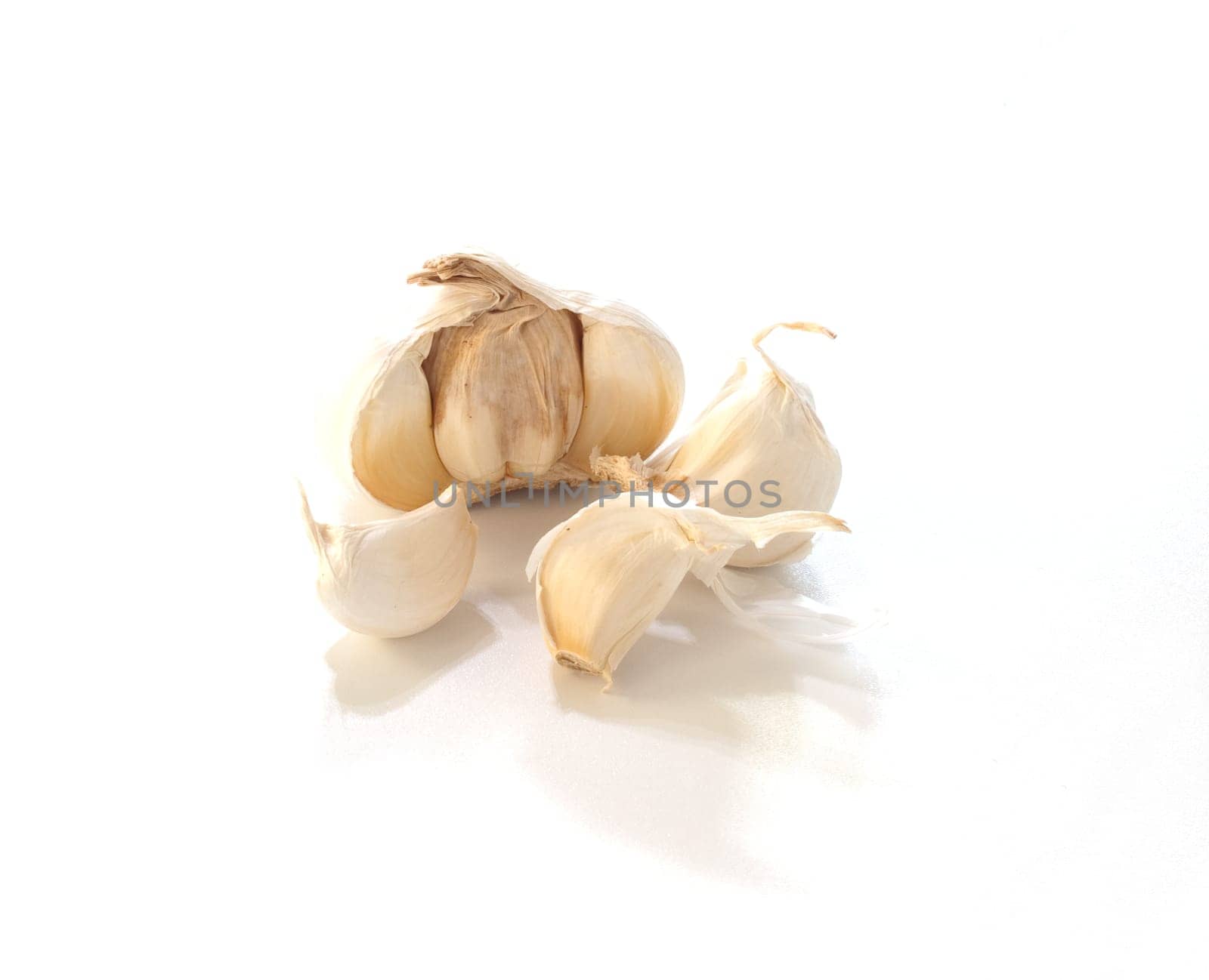 Garlic on white background
