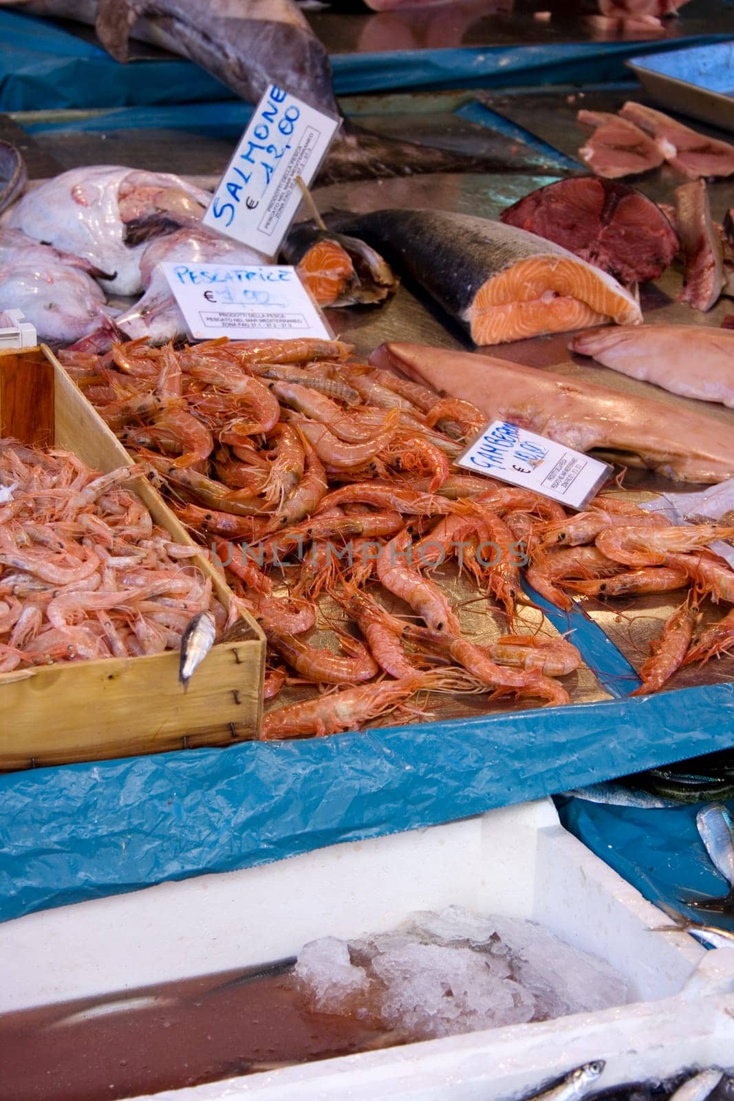 Shrimp on a table, fish market