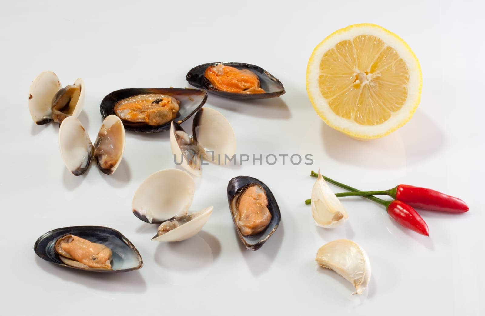Mussels and clams on white background