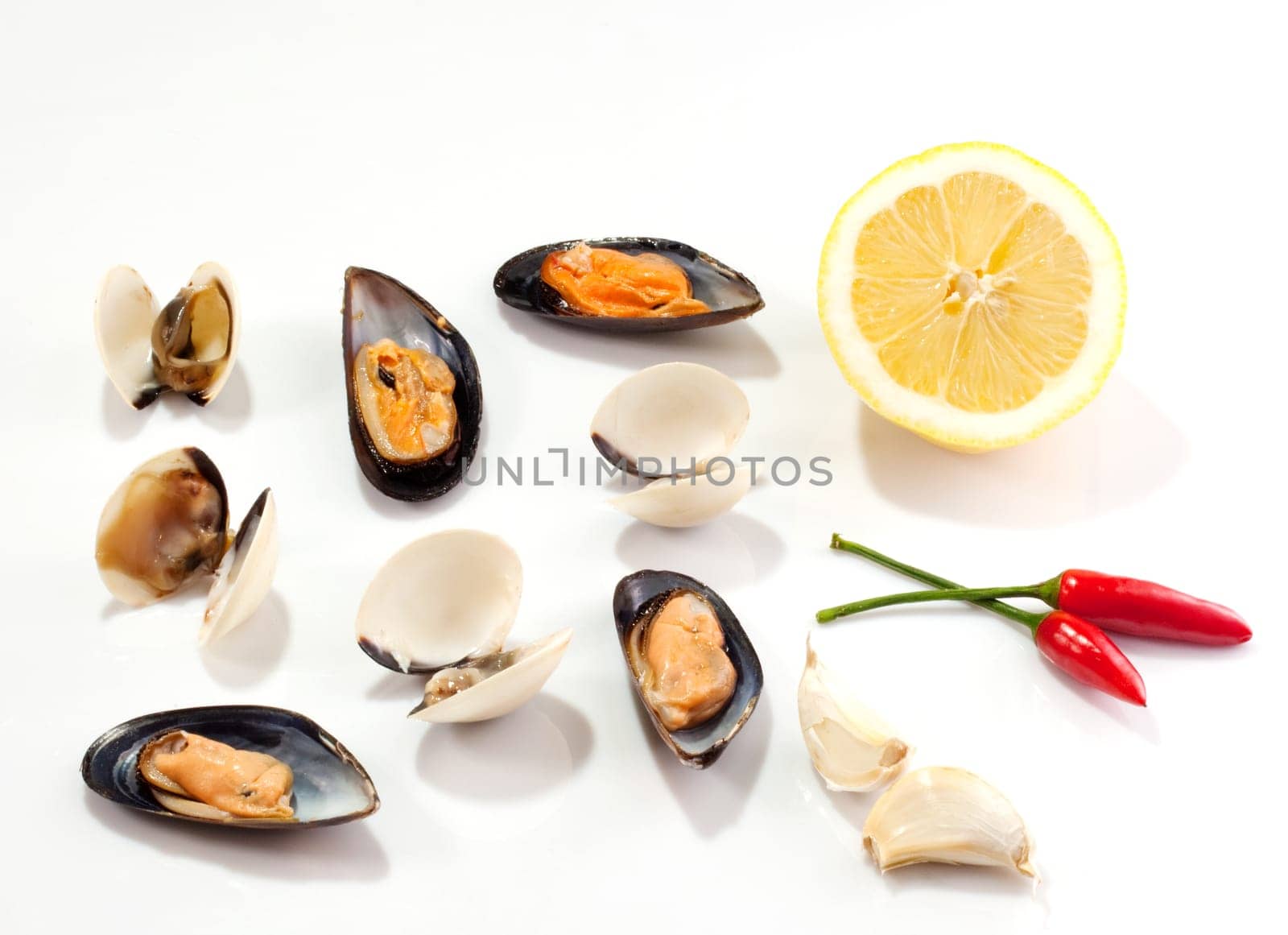 Mussels and clams on white background