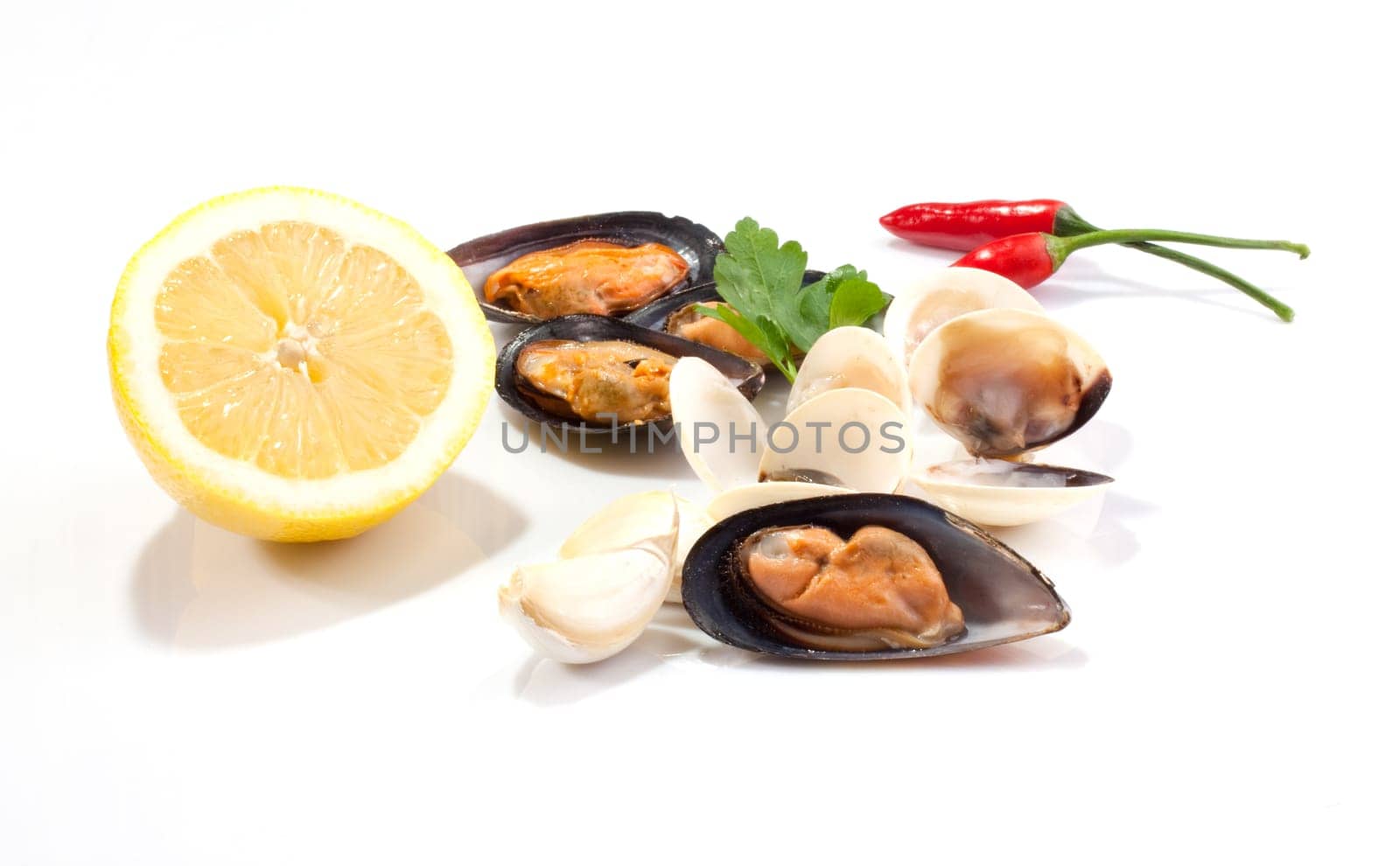 Mussels and clams on white background