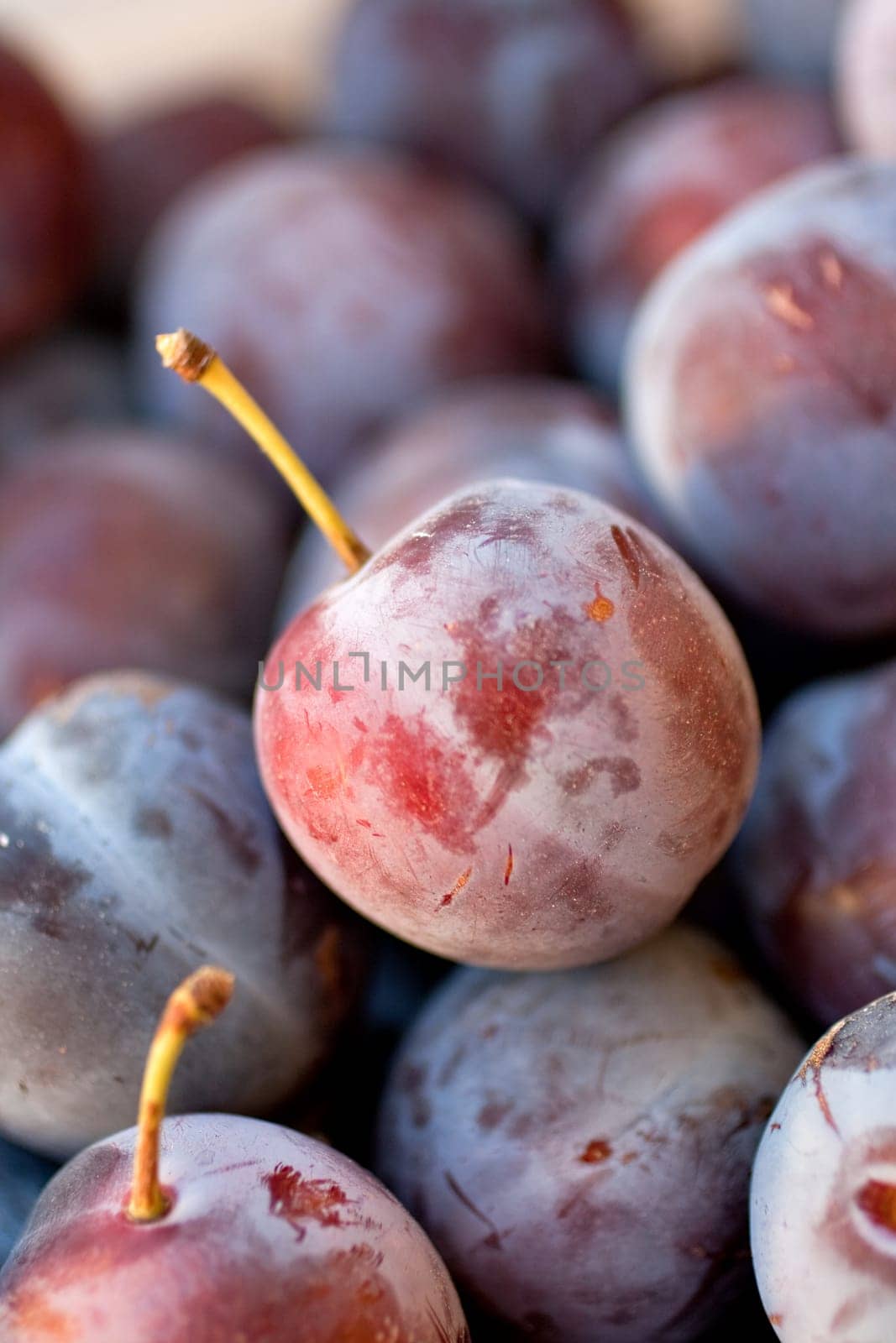 Photo of biological purple plums