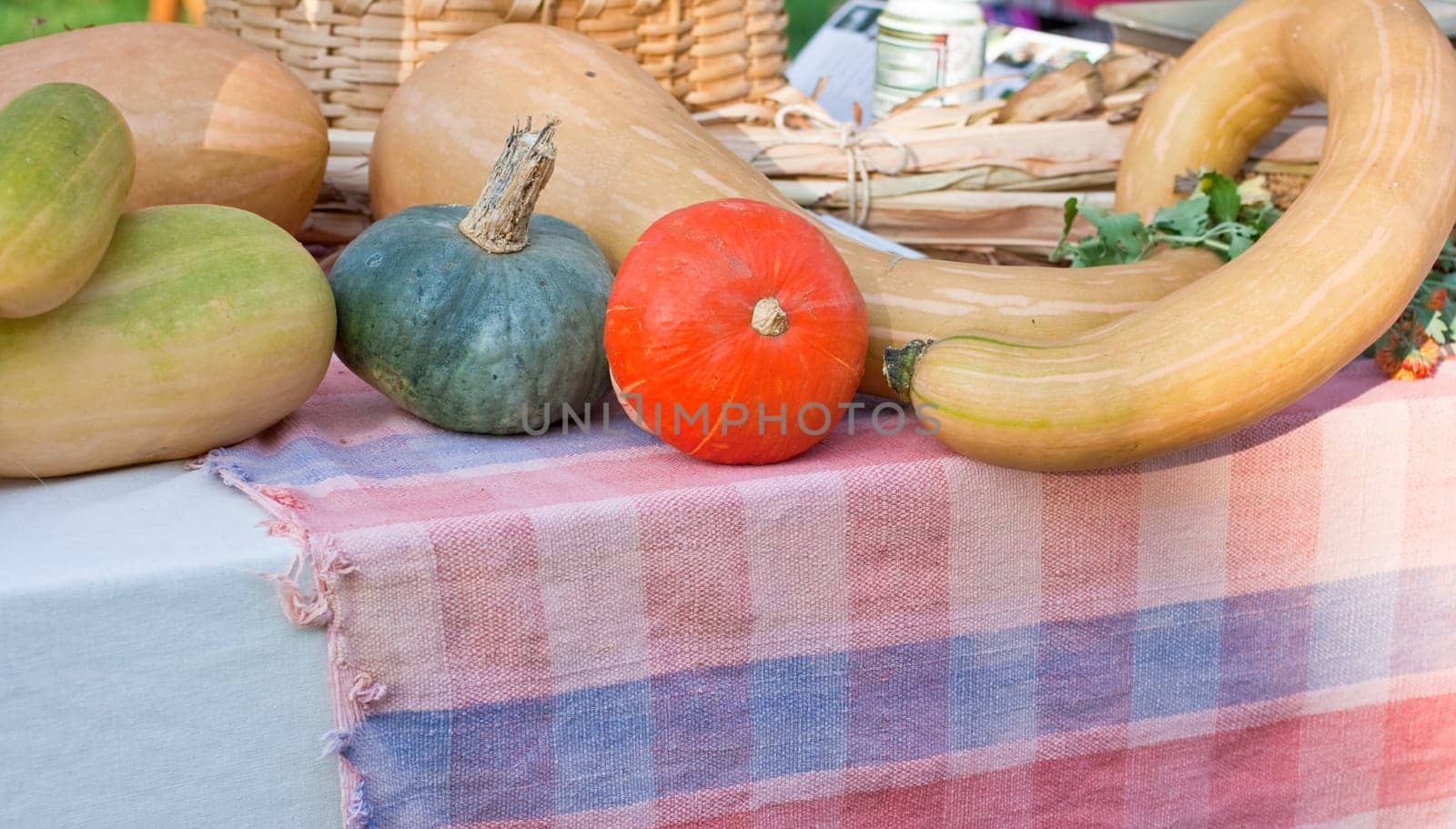 Various different pumpkins on a street market