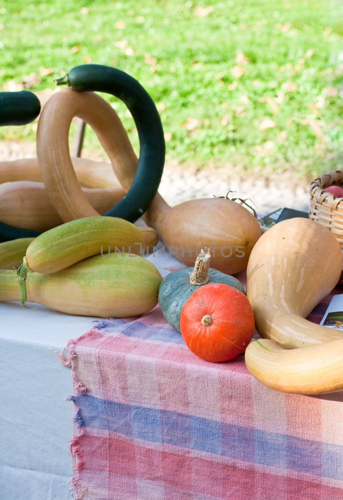 Various different pumpkins on a street market