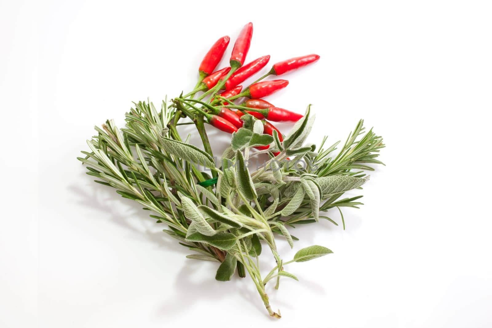 Sage and Red hot chili peppers isolated on white background
