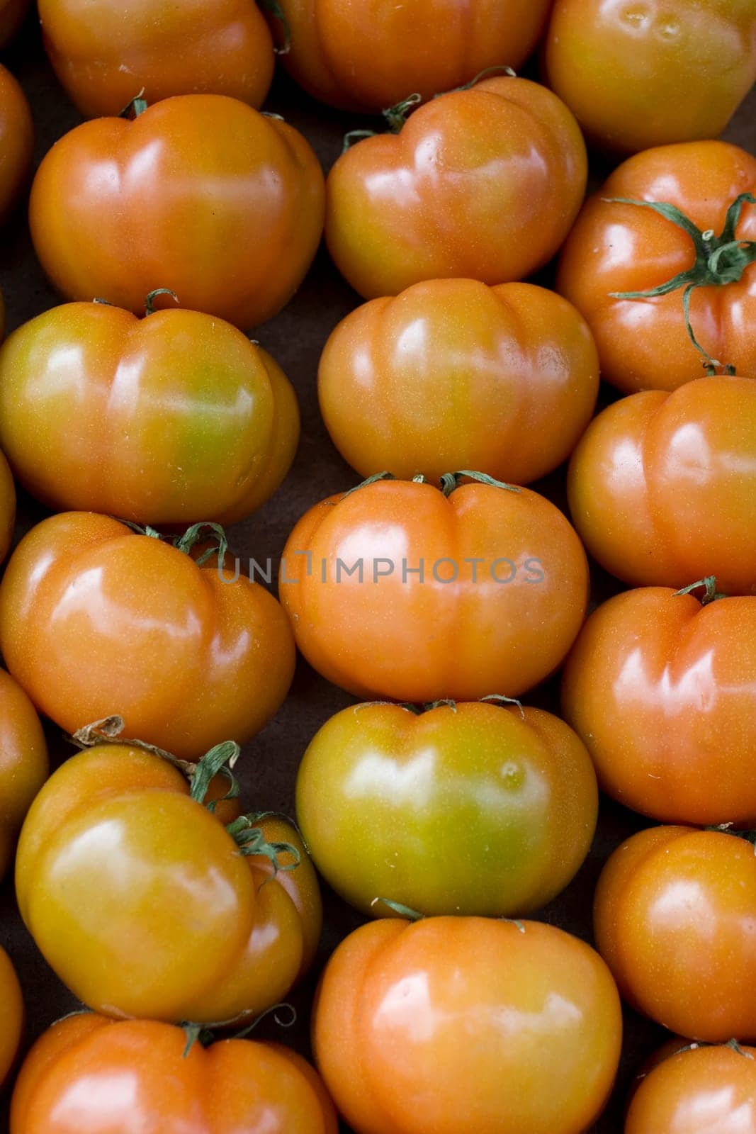 A lot of fresh tomatoes