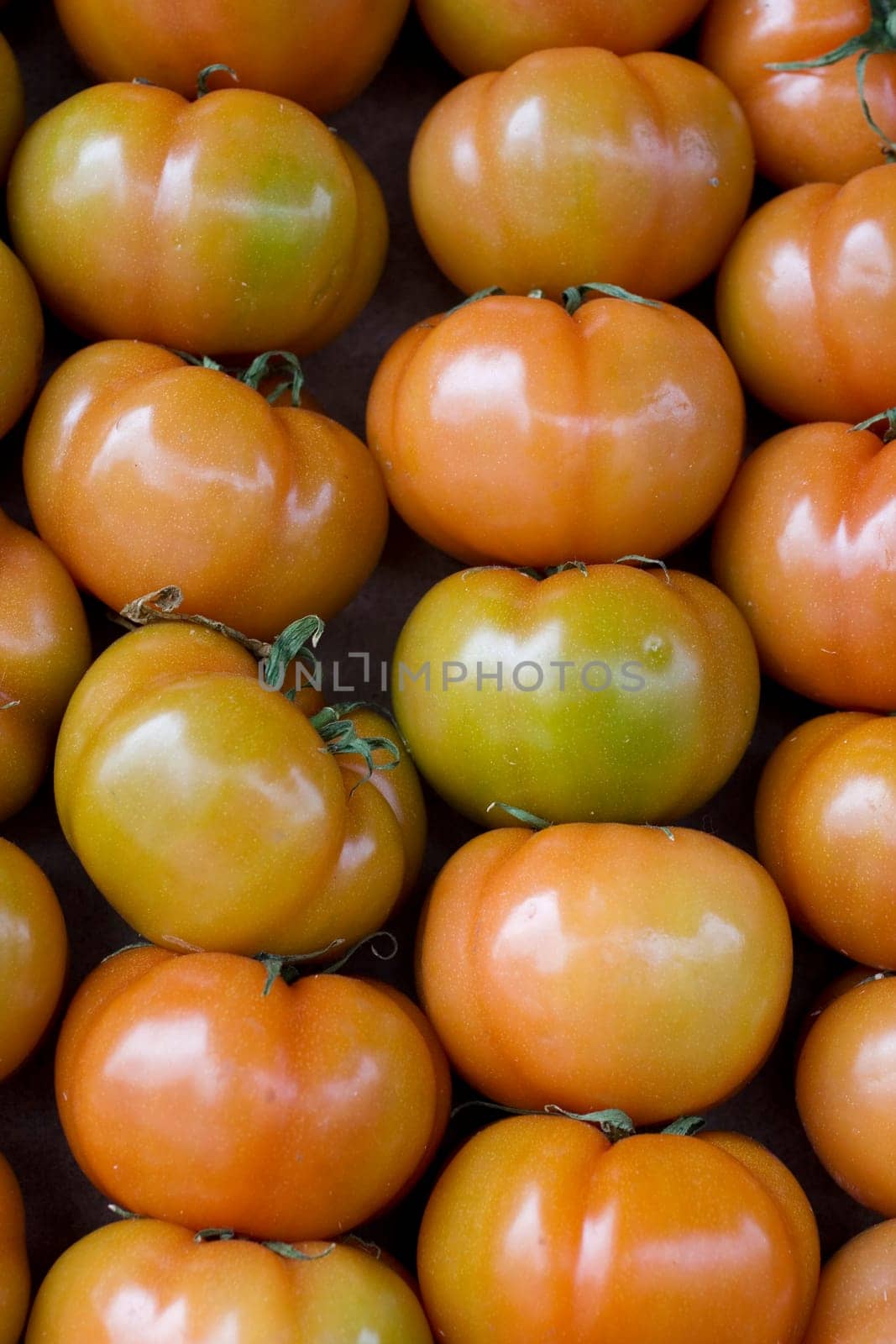 A lot of fresh tomatoes