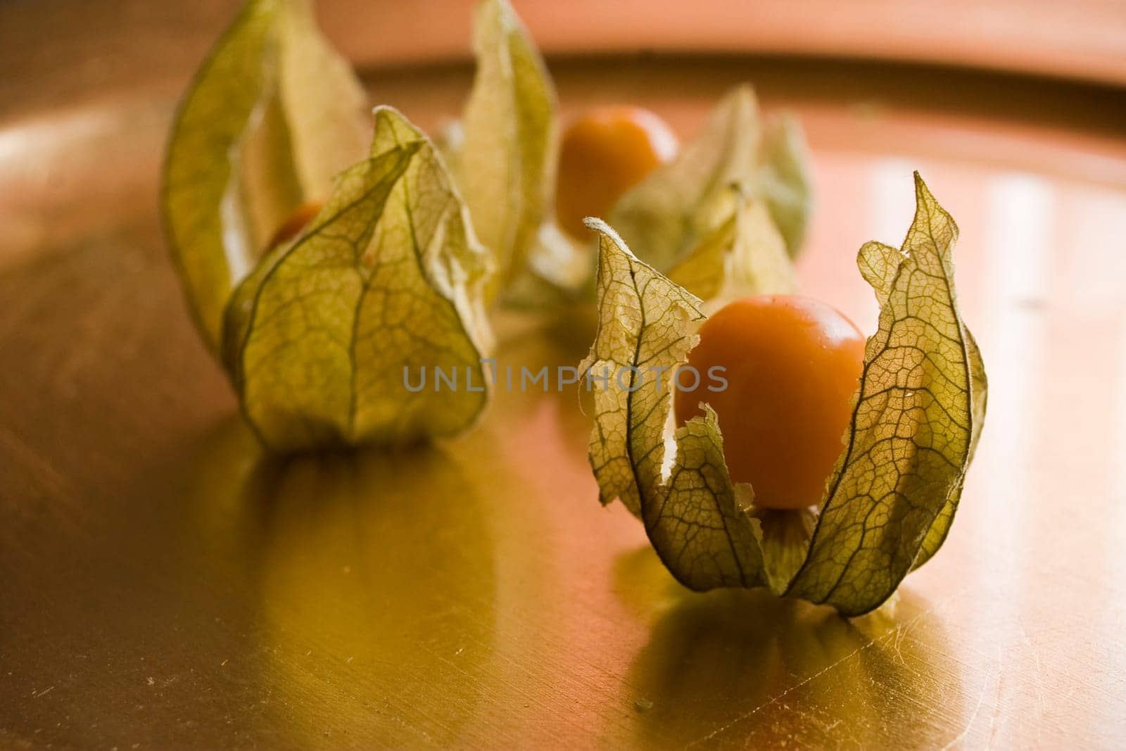 physalis