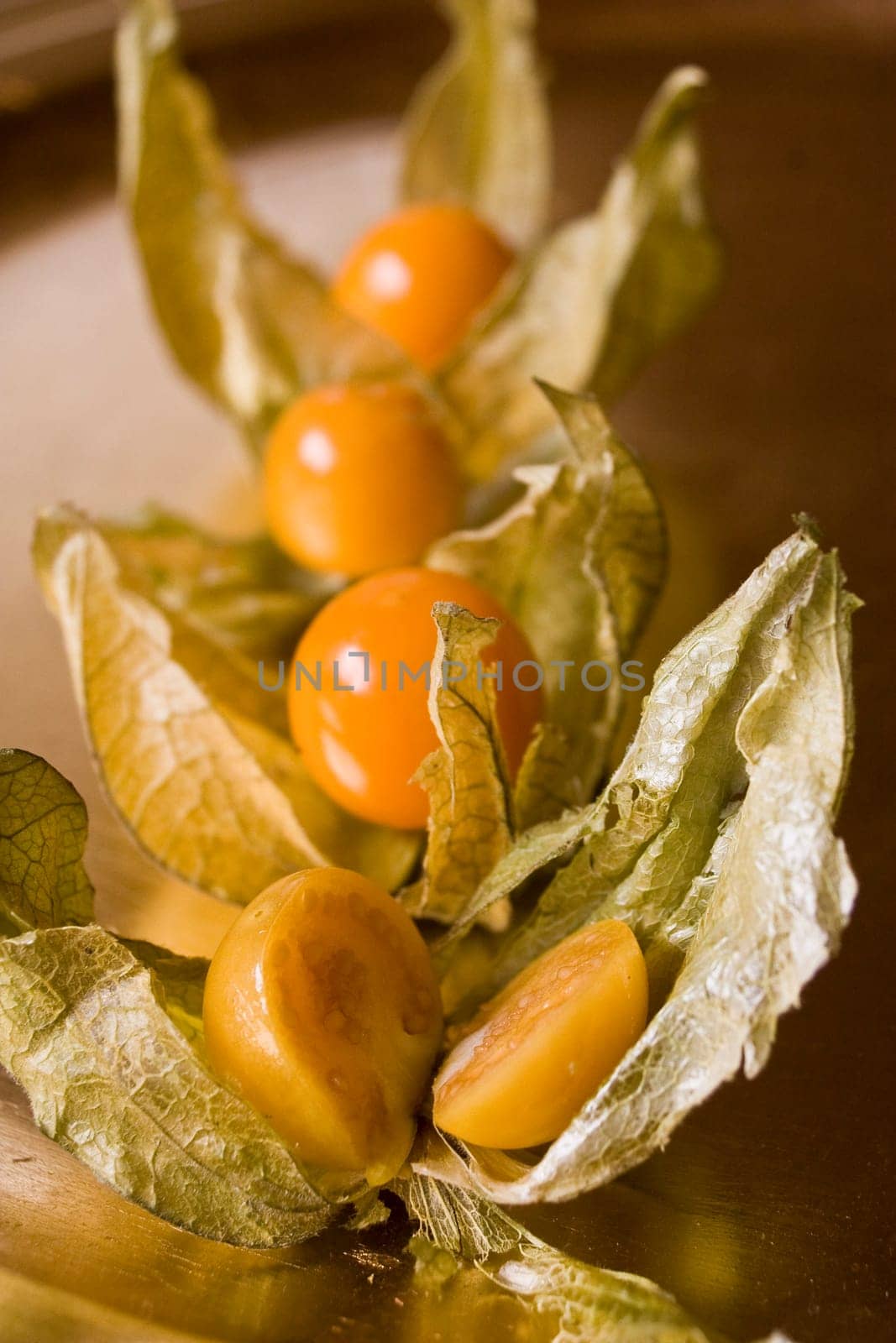 physalis