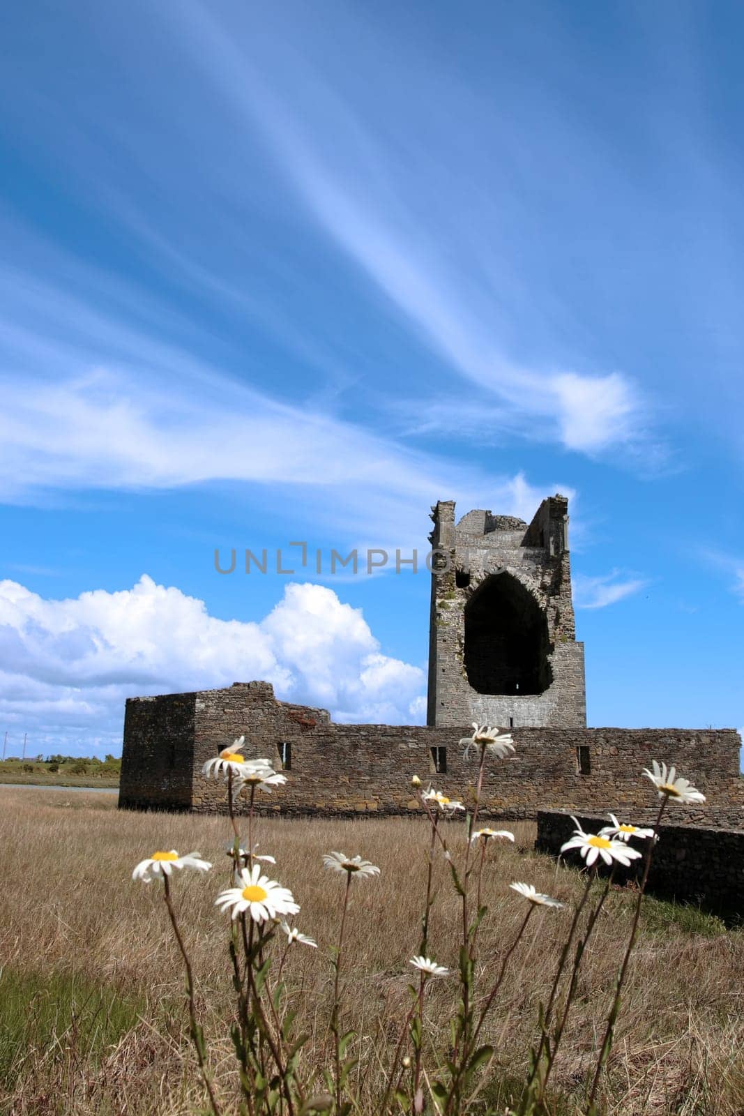 Ruins of a five-storeyed rectangular towerhouse within a bawn Partly destroyed in the 17th century in Ballylongford county kerry ireland