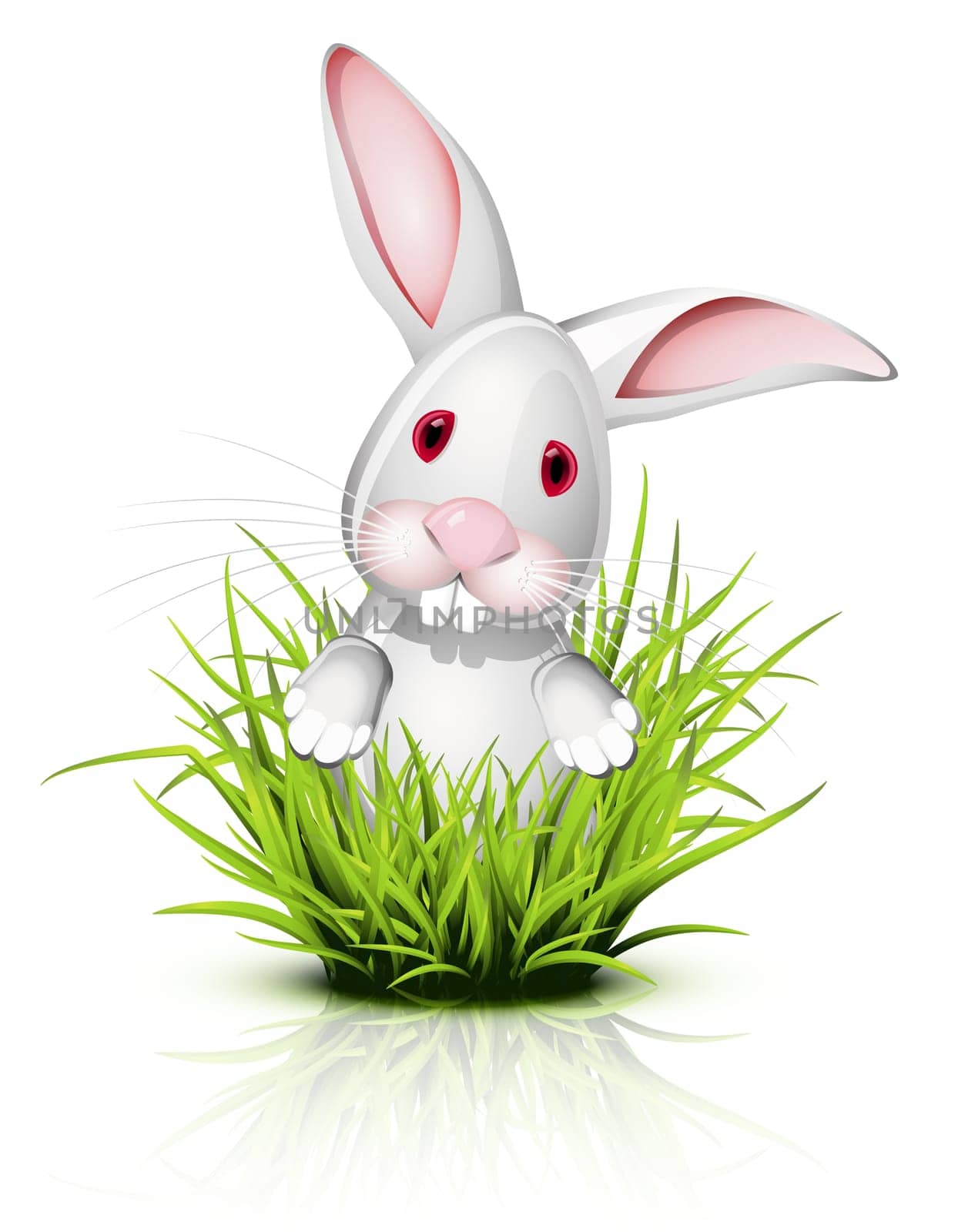 Little white rabbit  on reflective grass