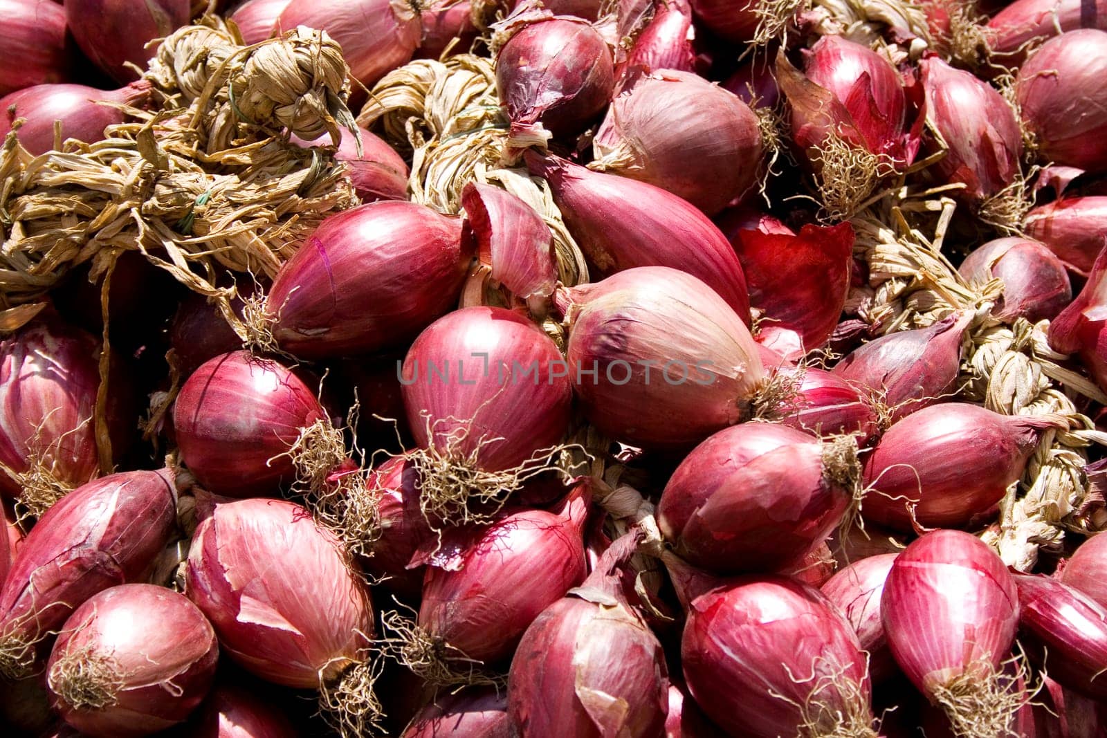 Photo of red Onions background