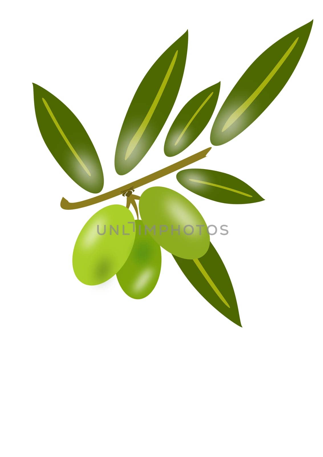 group of green olives