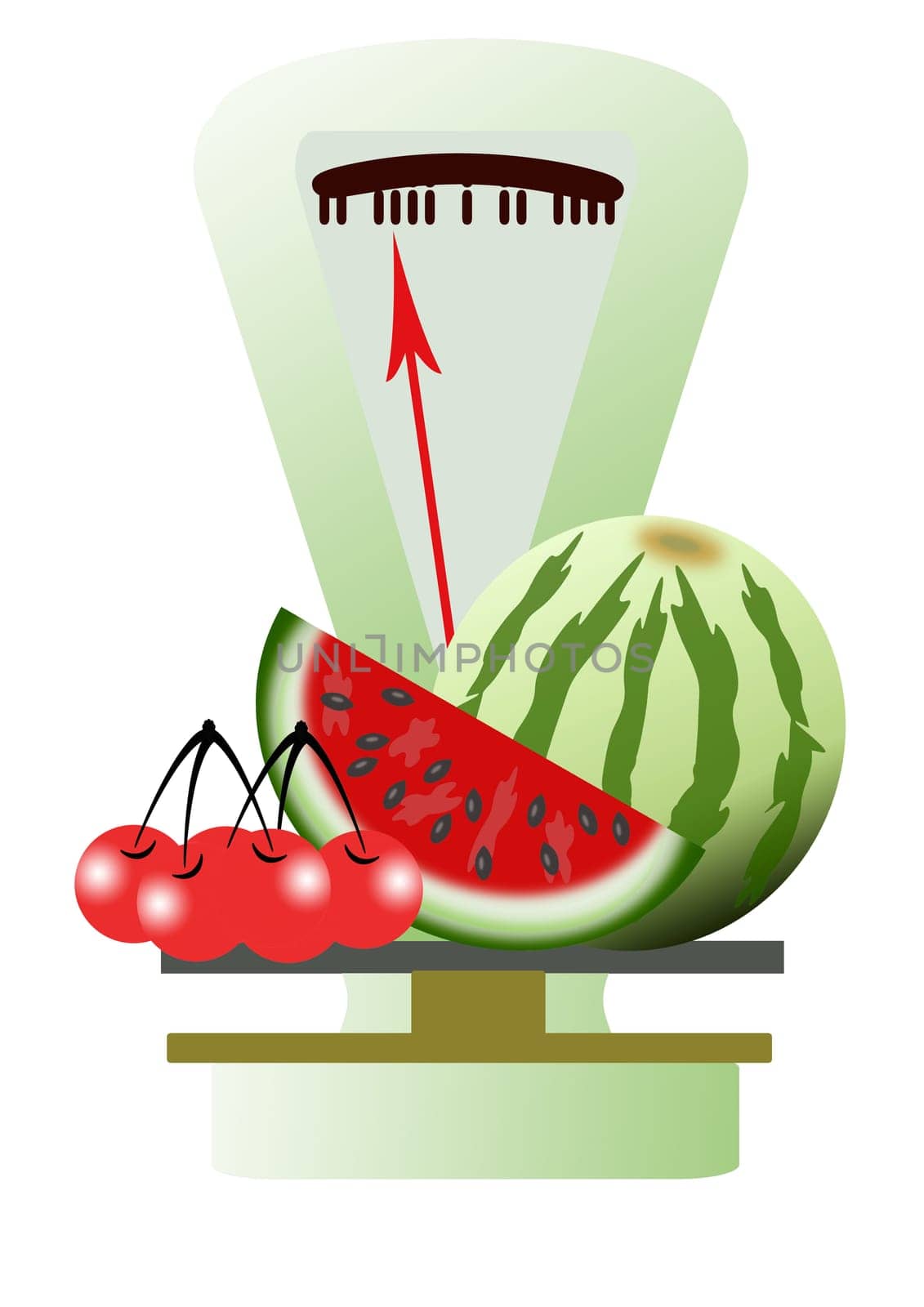 fruit of an ancient scale
