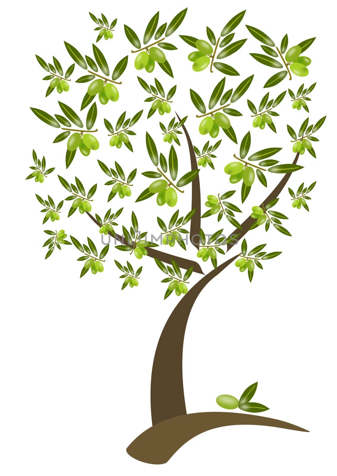 olive