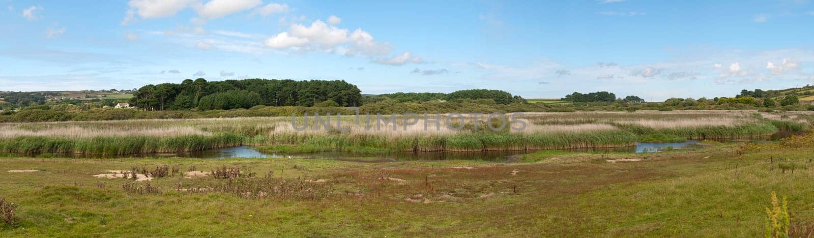 overview of a swamp in Marazion in Cornwall