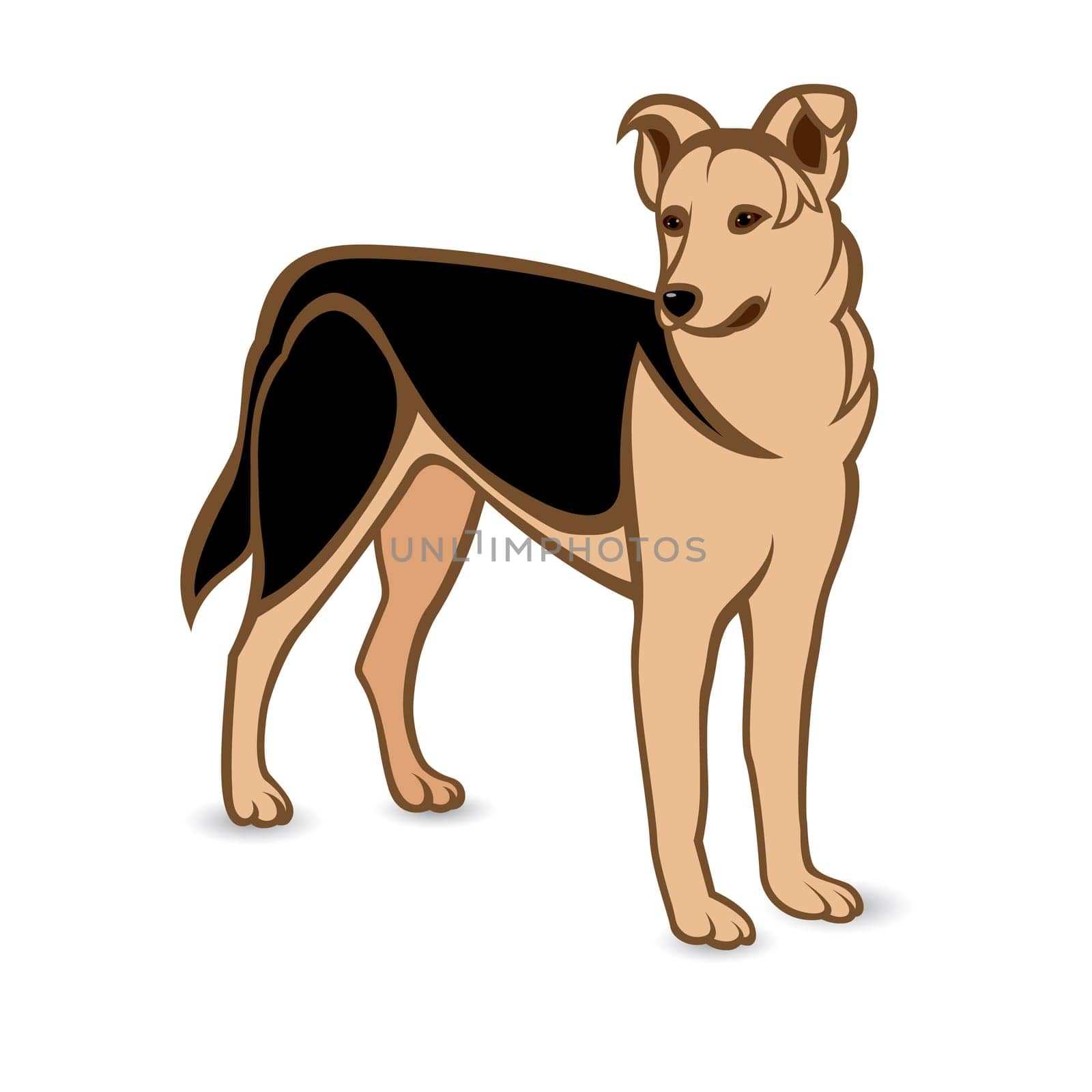 Realistic German Shepherd. Illustration on white background