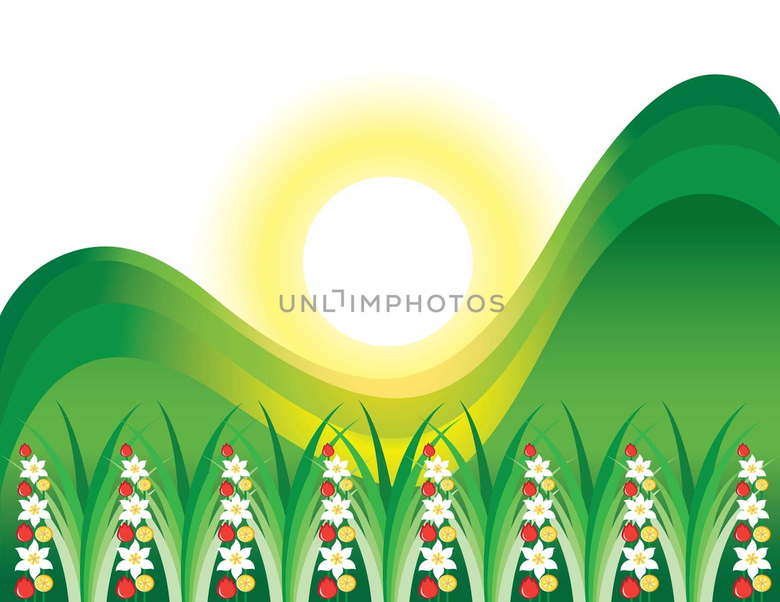 Abstract flowering grass in the sun. Illustration on white background