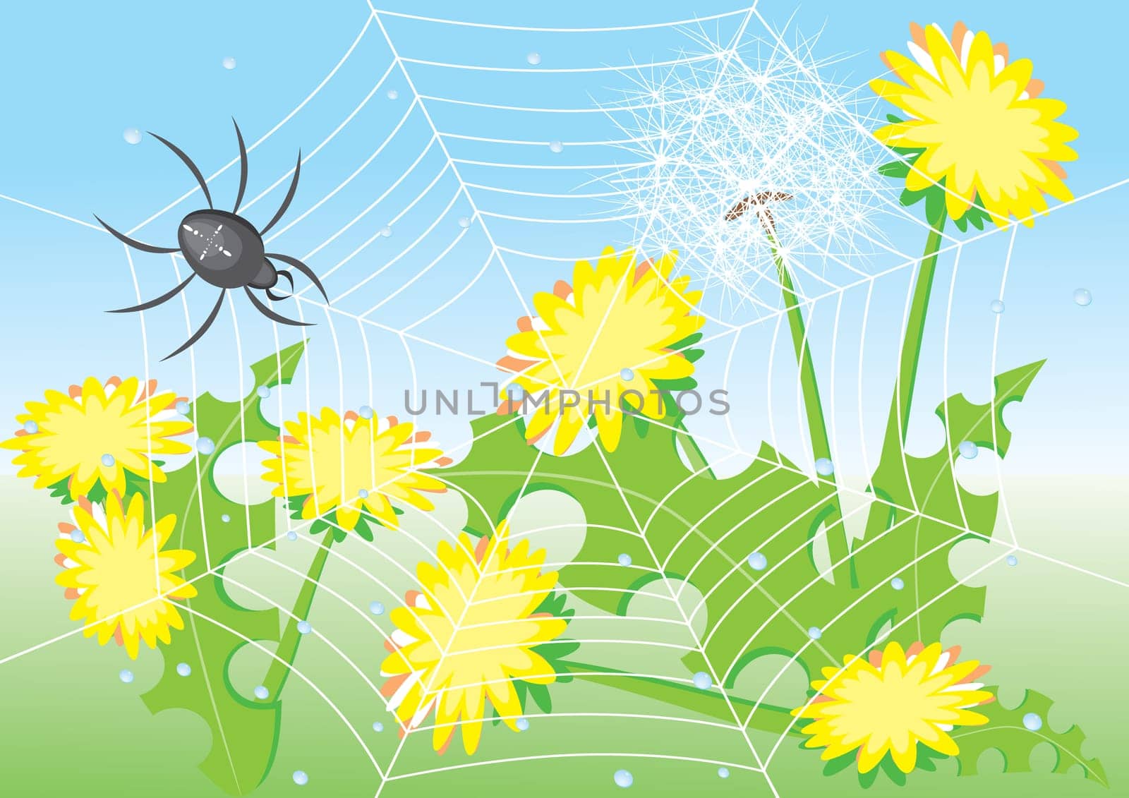 Cartoon spider and dandelions. Illustration for design