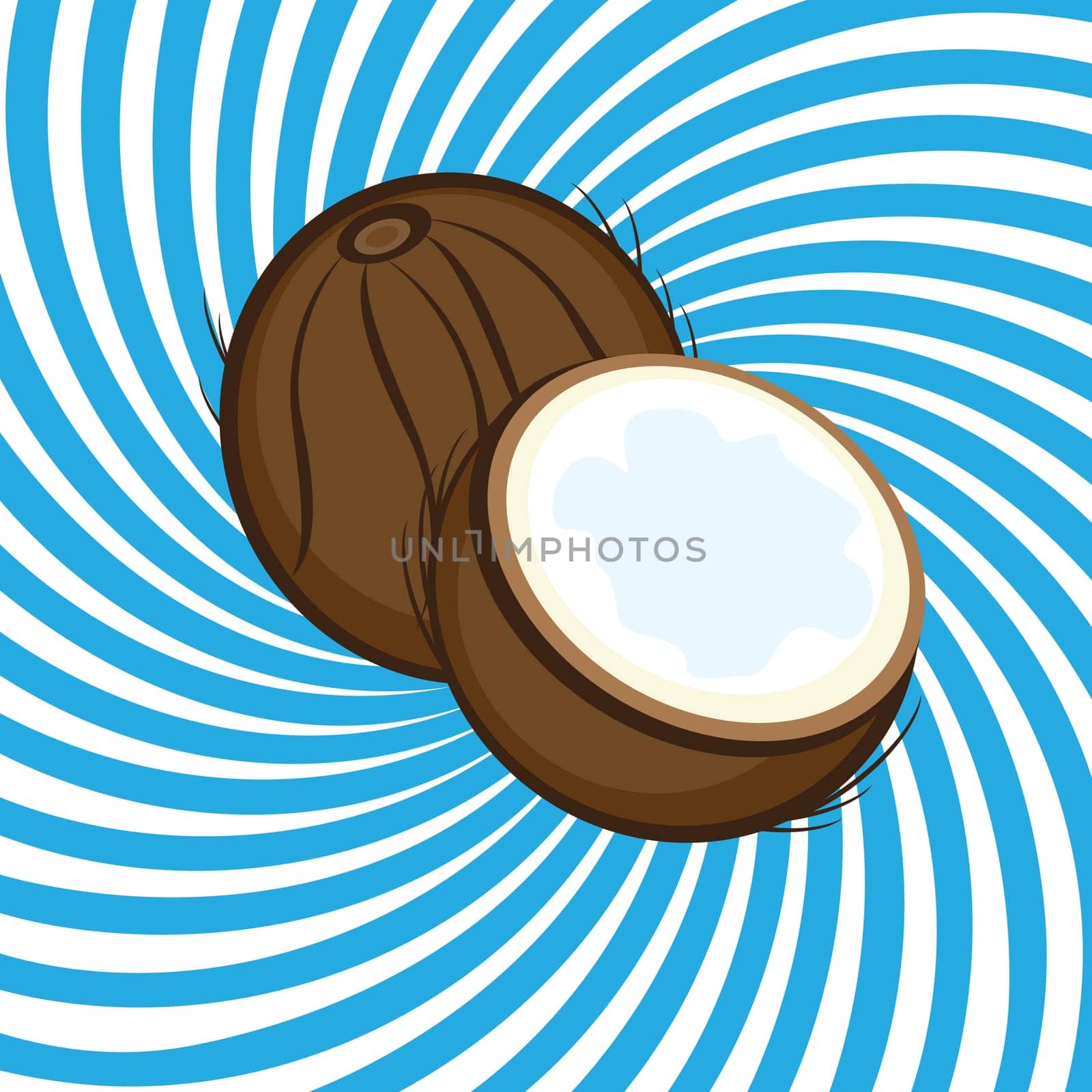 Ripe coconut. Illustrationon abstract blue background