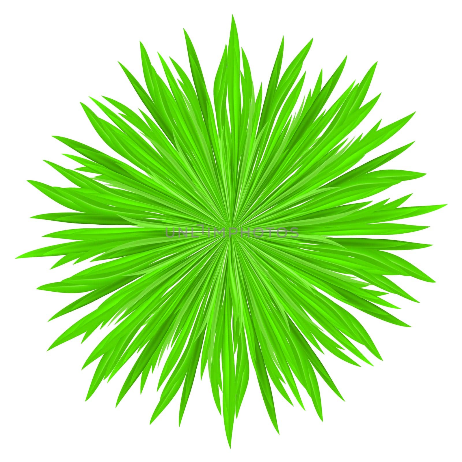 Vector illustration of grass frame. Green circle