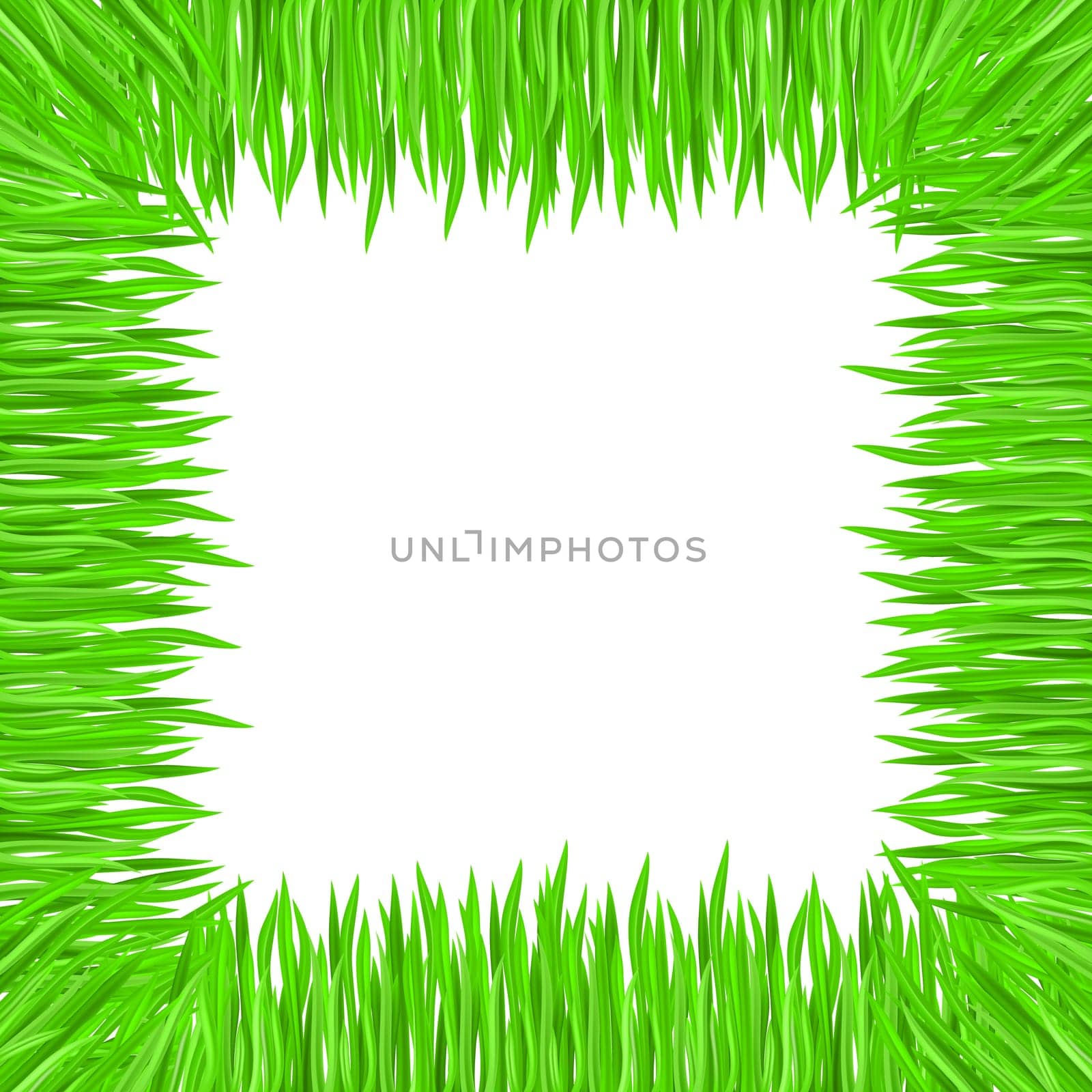 Vector illustration of grass frame. Green square