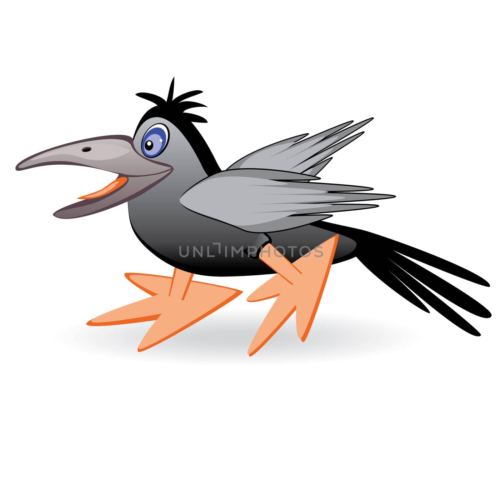 The black cartoon raven amusing bird on white