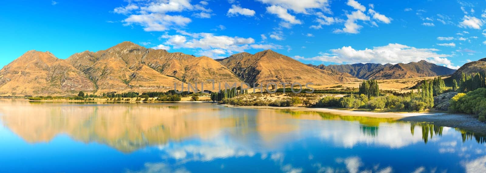 Lake Wanaka at summer sunny day