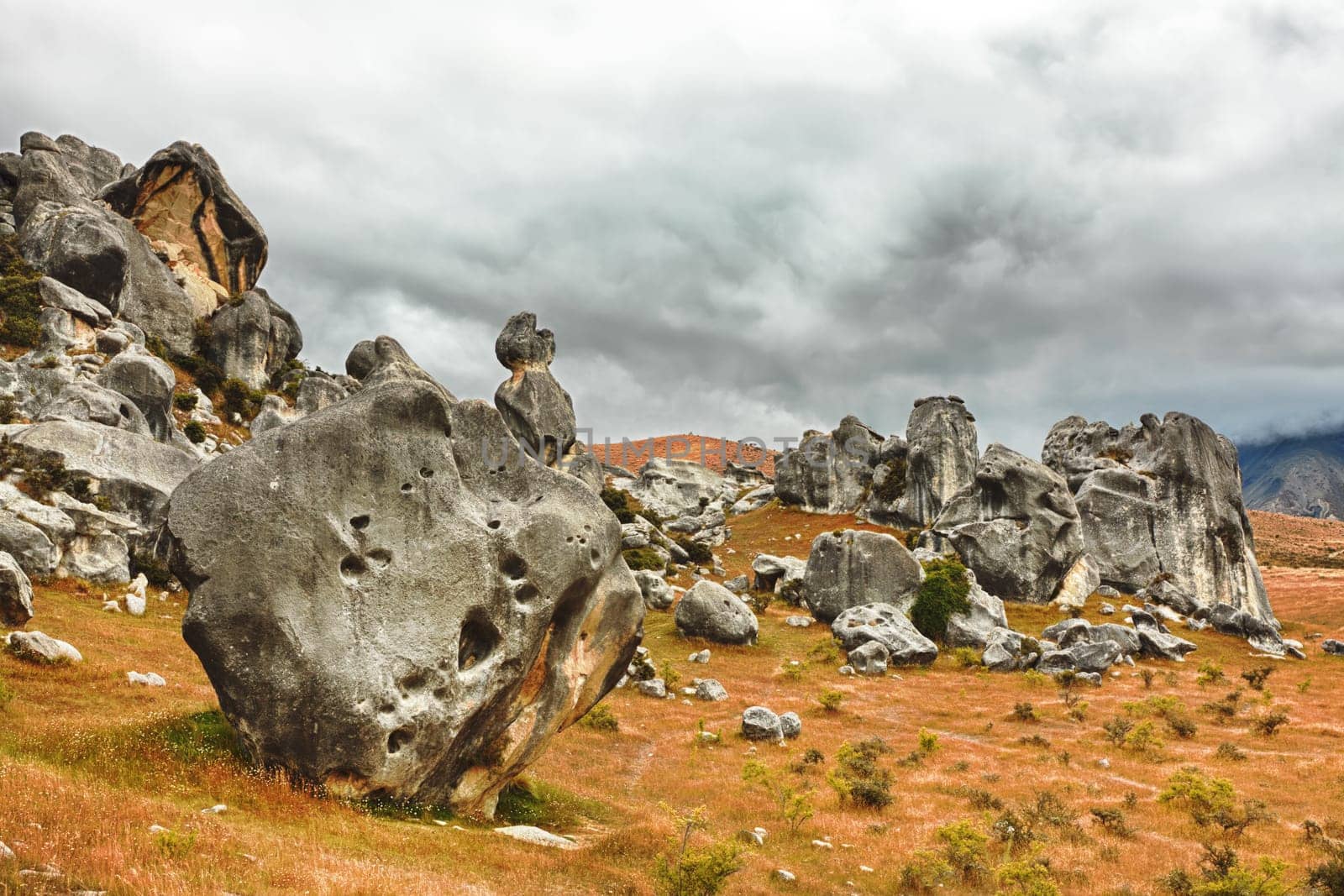 The Castle hill. Southern Alps. Arthurs Pass. New Zealand