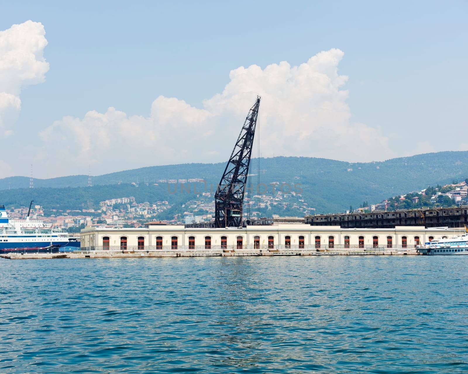 Crane in the Trieste harbour - Italy