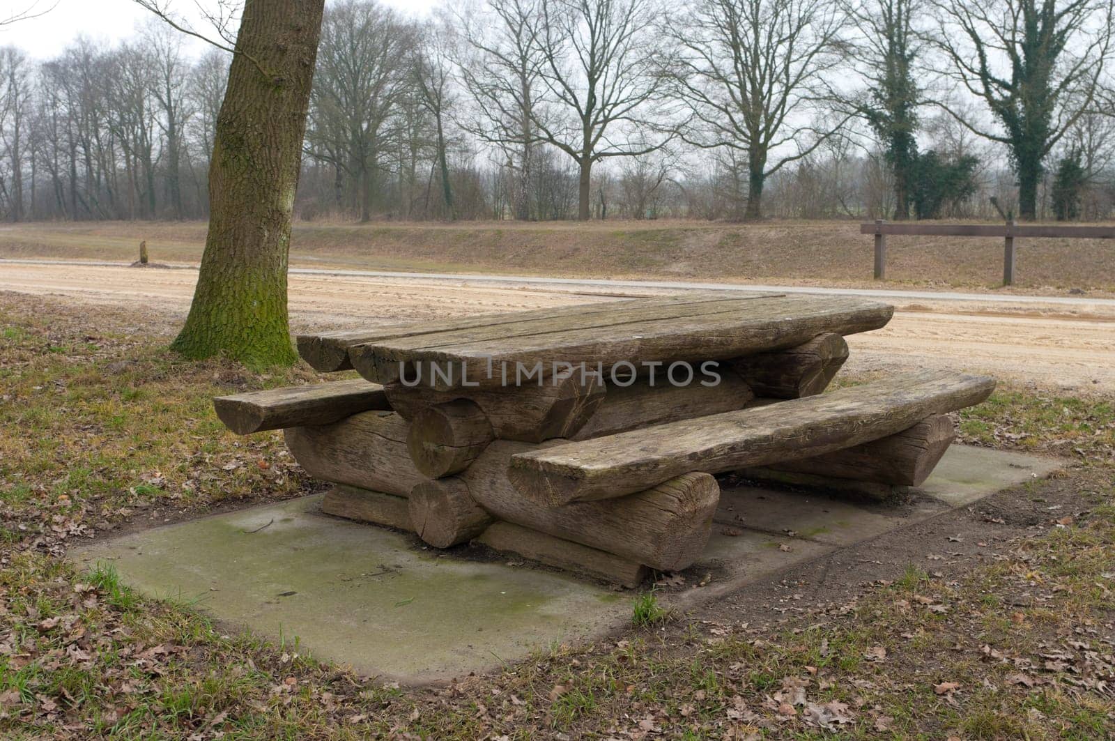 wooden picnic bench in the Netherlands