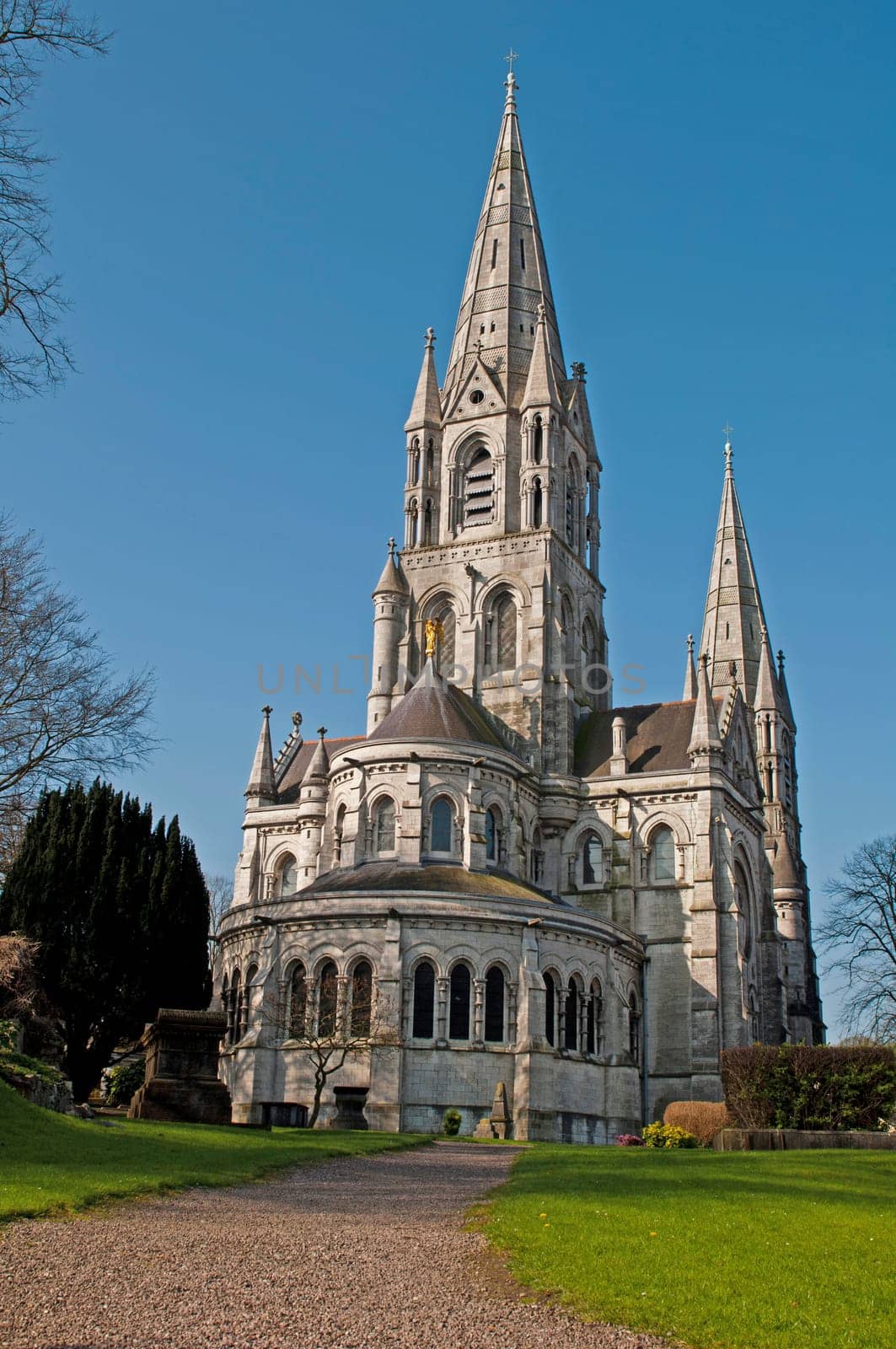 Saint Fin Barre&#039 s cathedral in Cork, Ireland (garden view and blue sky background)