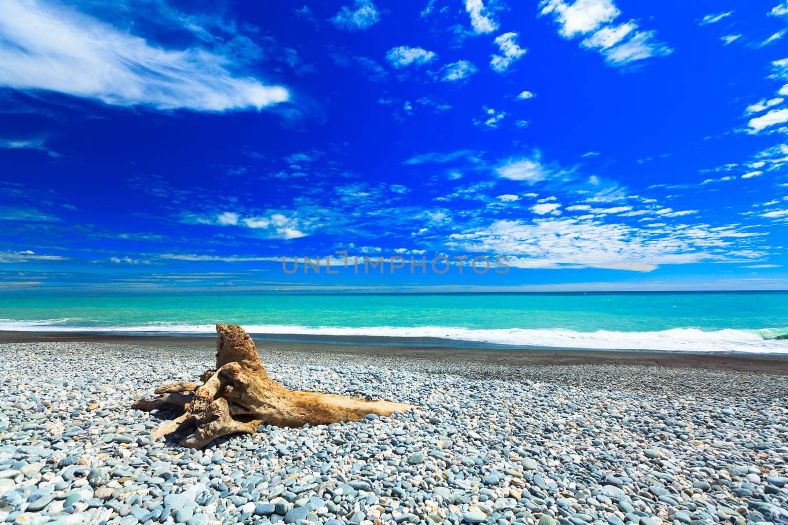 Coast of the Tasman sea