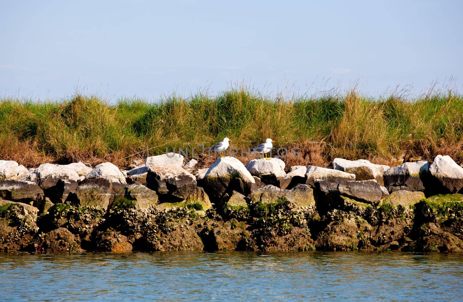 Grado lagoon, Friuli Venezia giulia - Italy