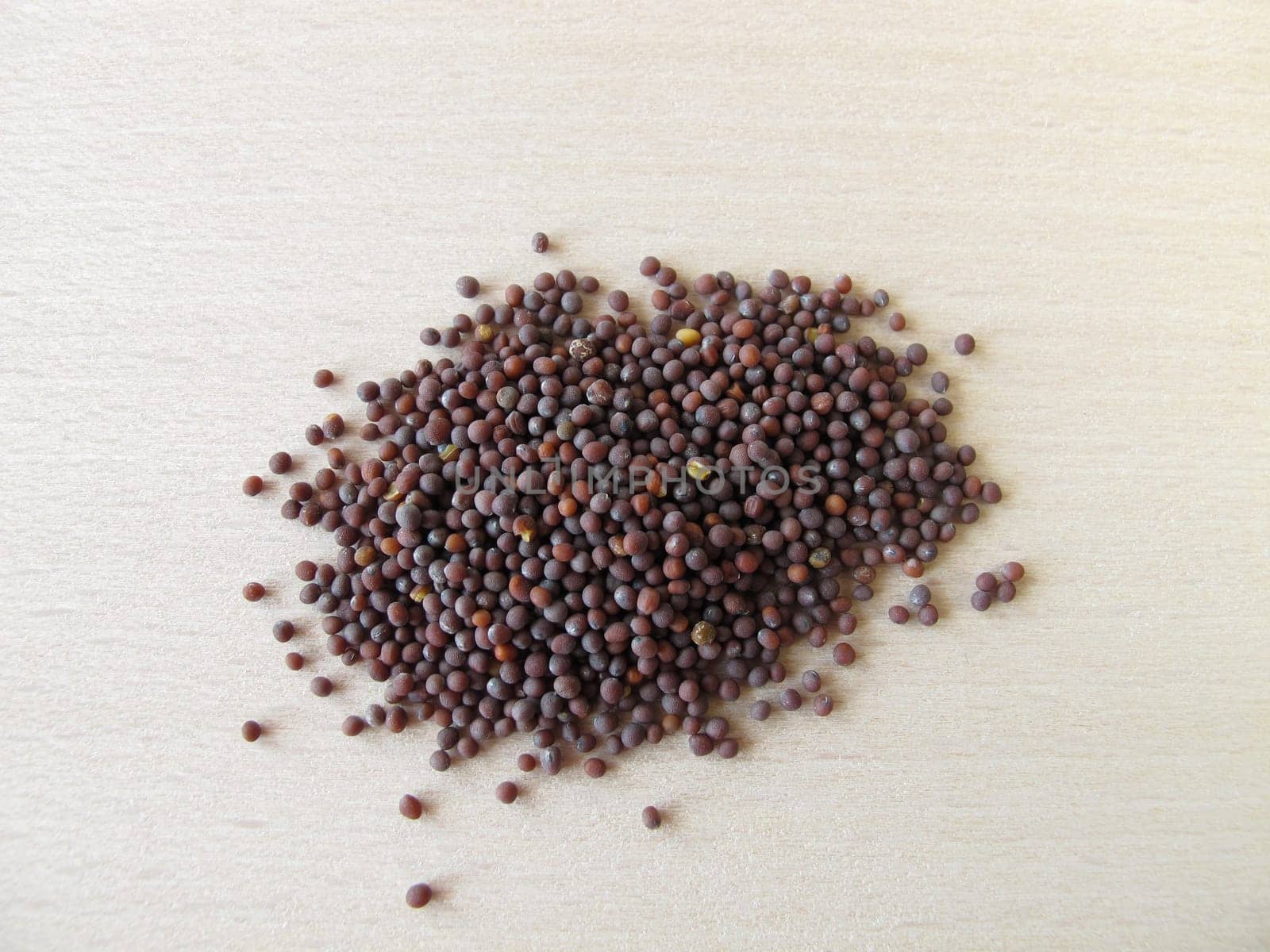 Black mustard seed,Sinapis nigrae semen