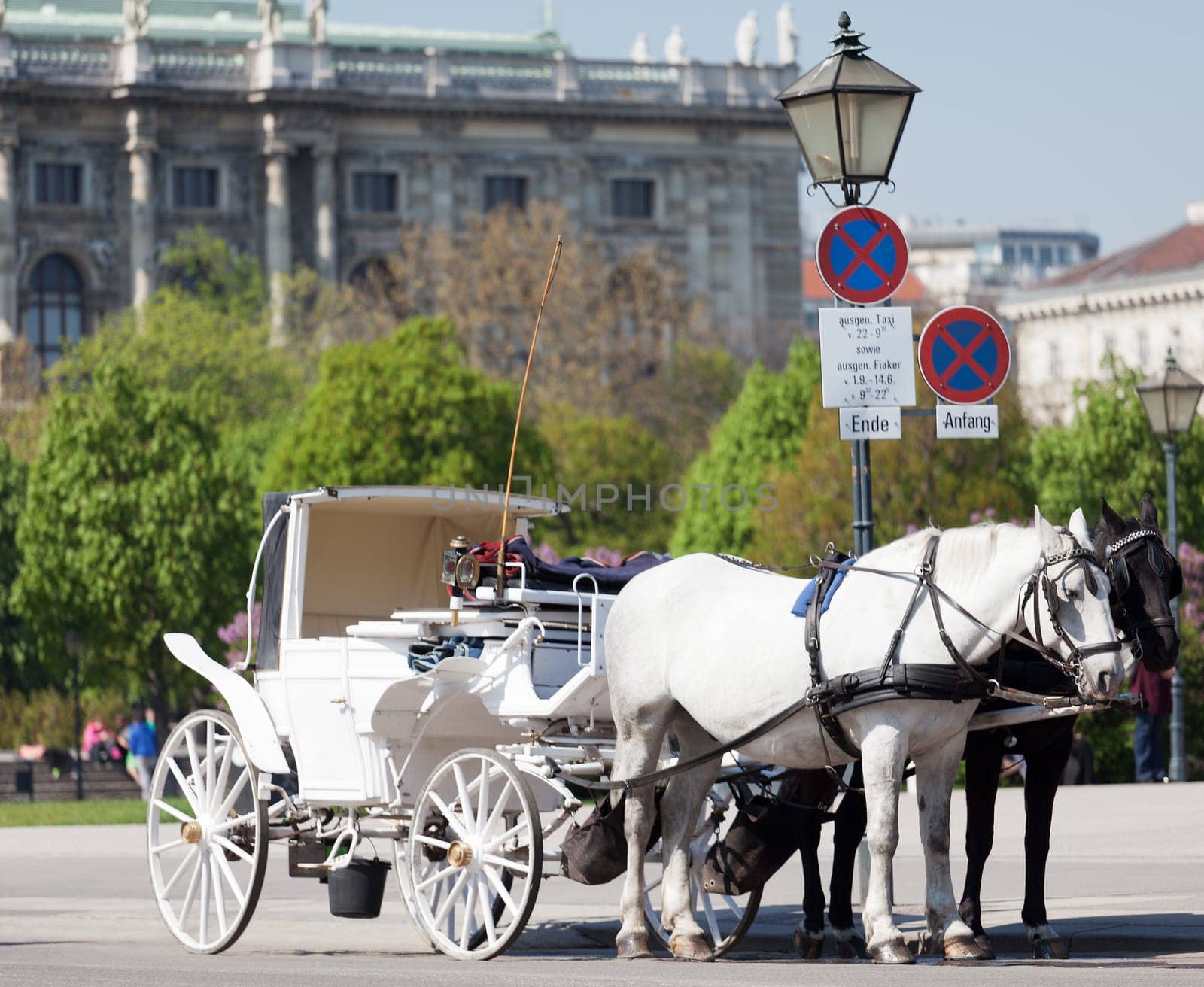 Fiaker in Vienna,historic horse-drawn carriage as a means of transport