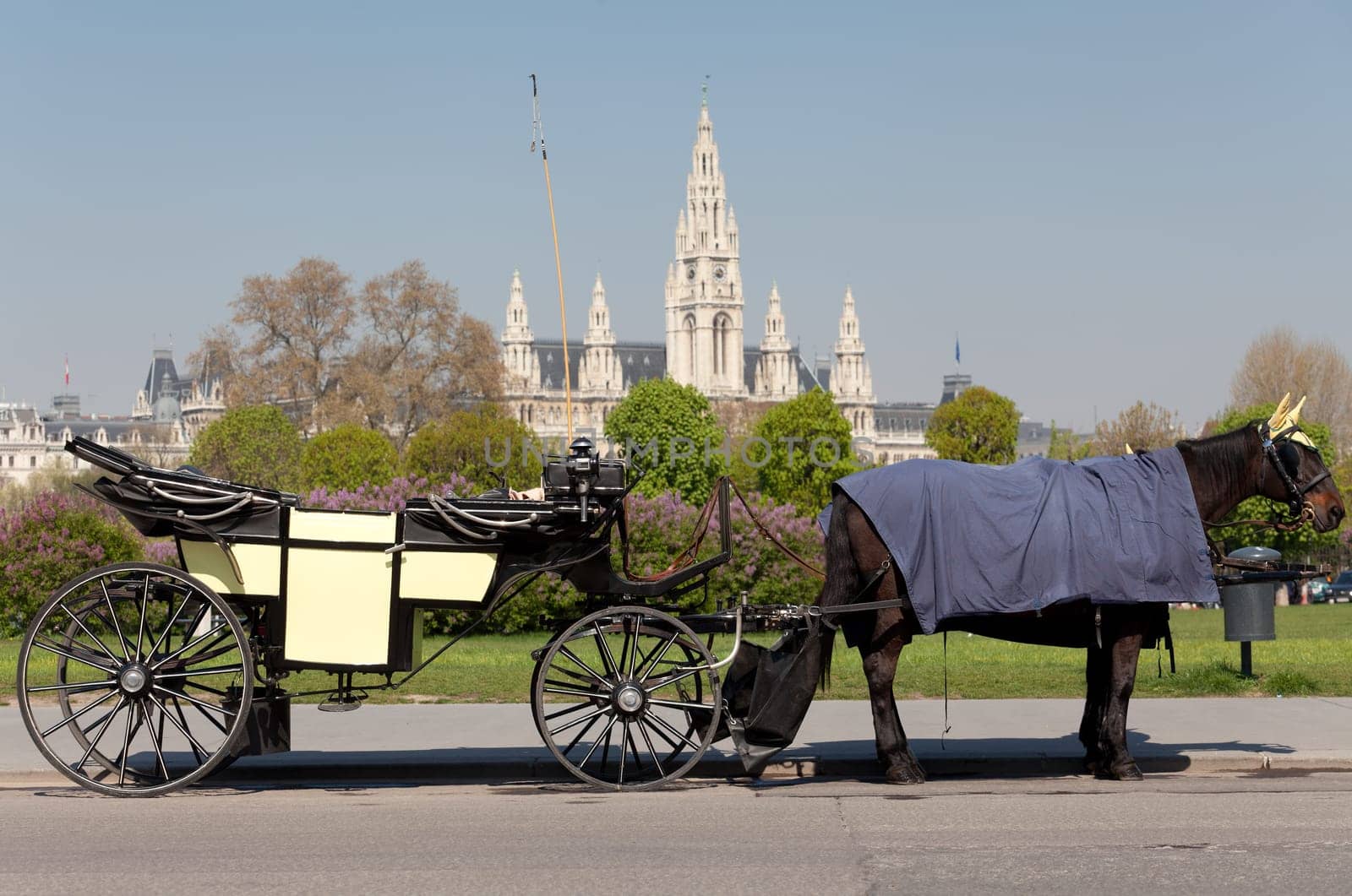 Fiaker in Vienna,historic horse-drawn carriage as a means of transport