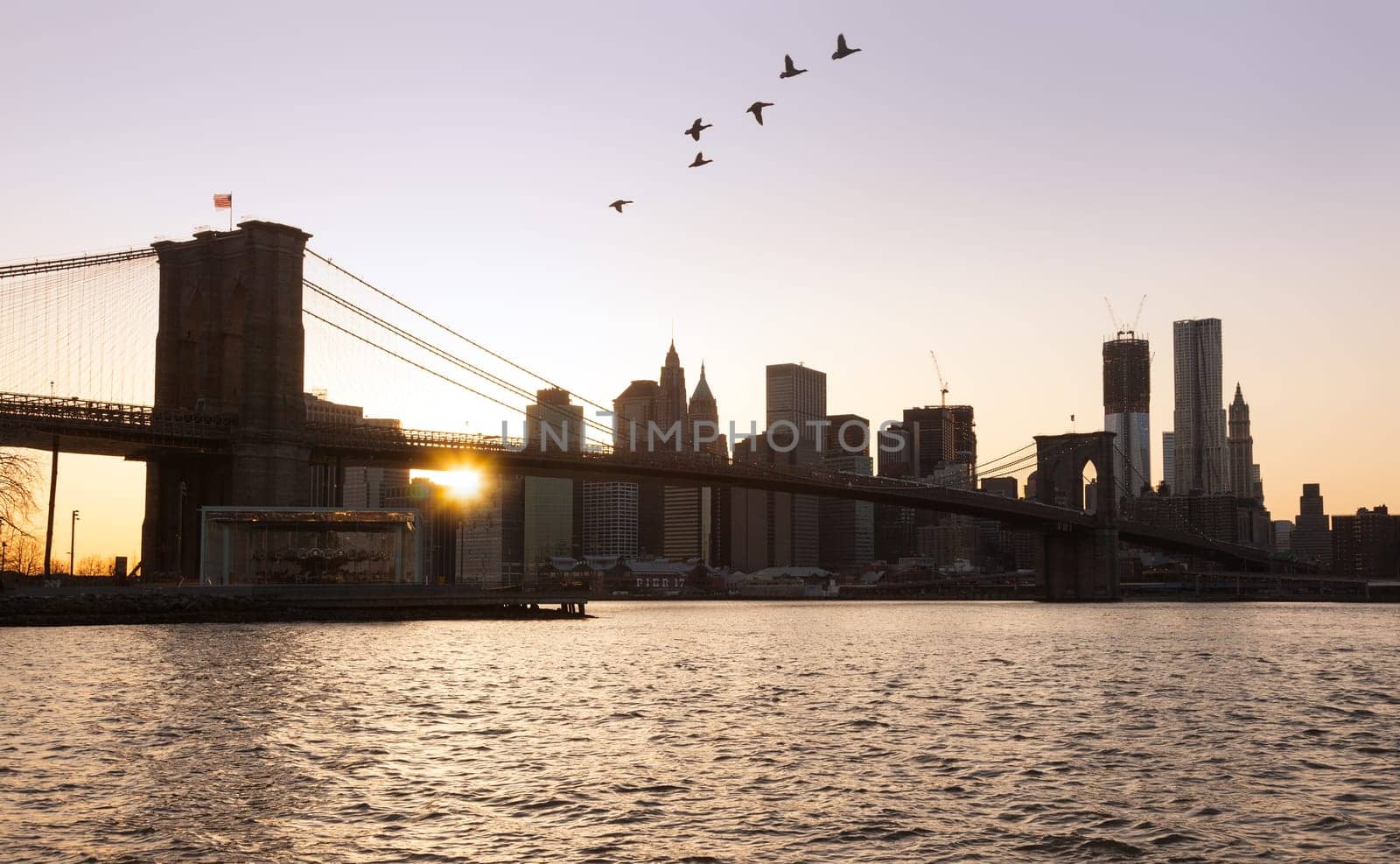 Lower Manhattan at sunset with birds flying over Brooklyn Bridge
