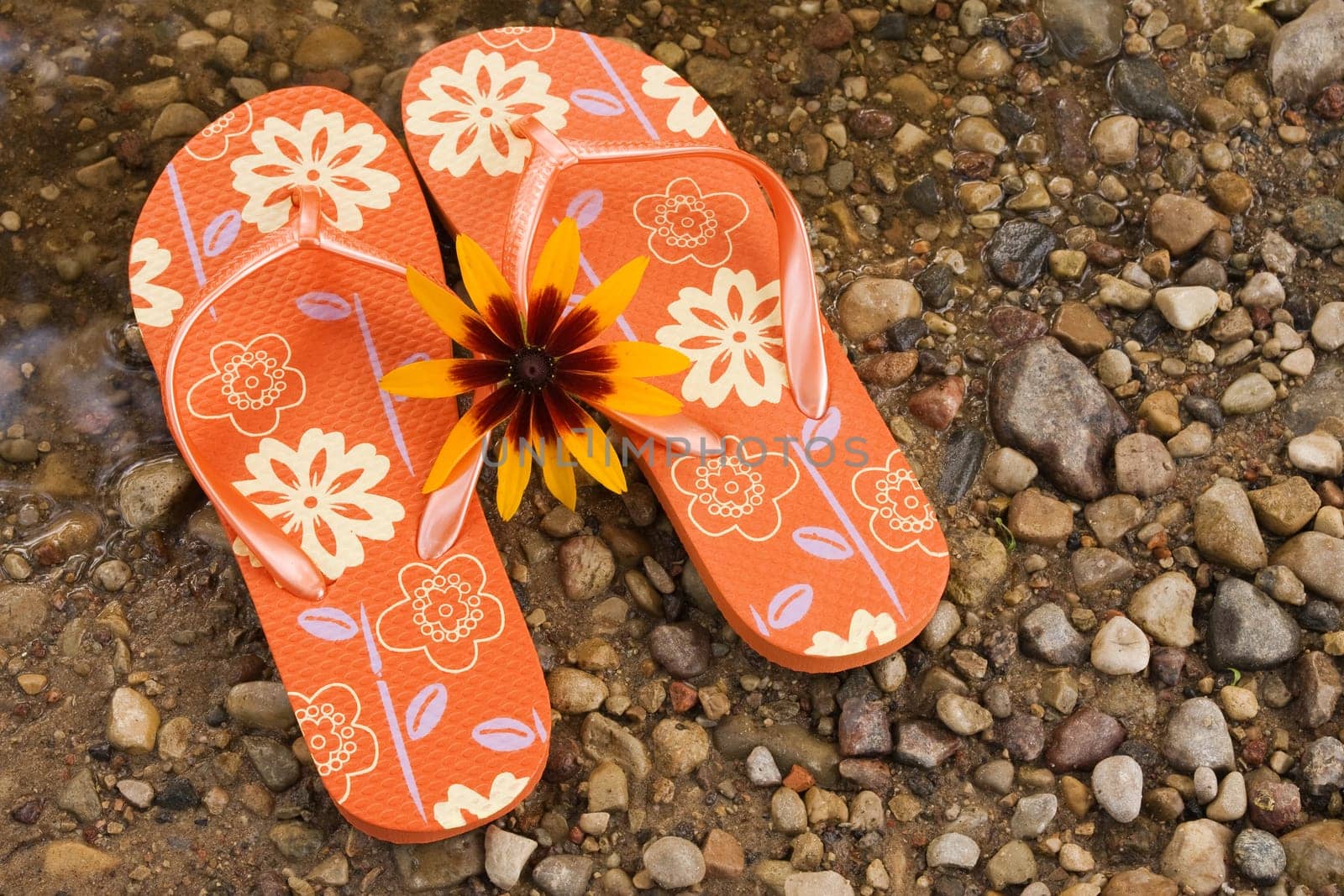 flip flops and yellow flower beside the river