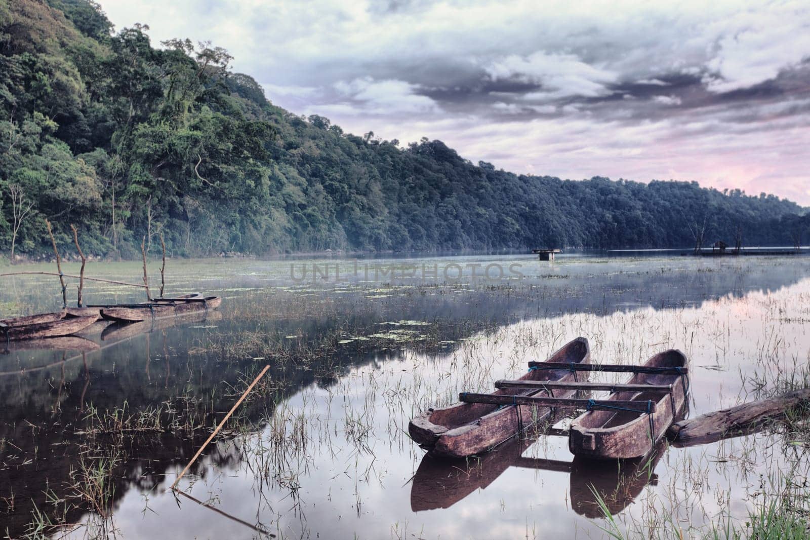 Tamblingan lake at sunrise time. Bali
