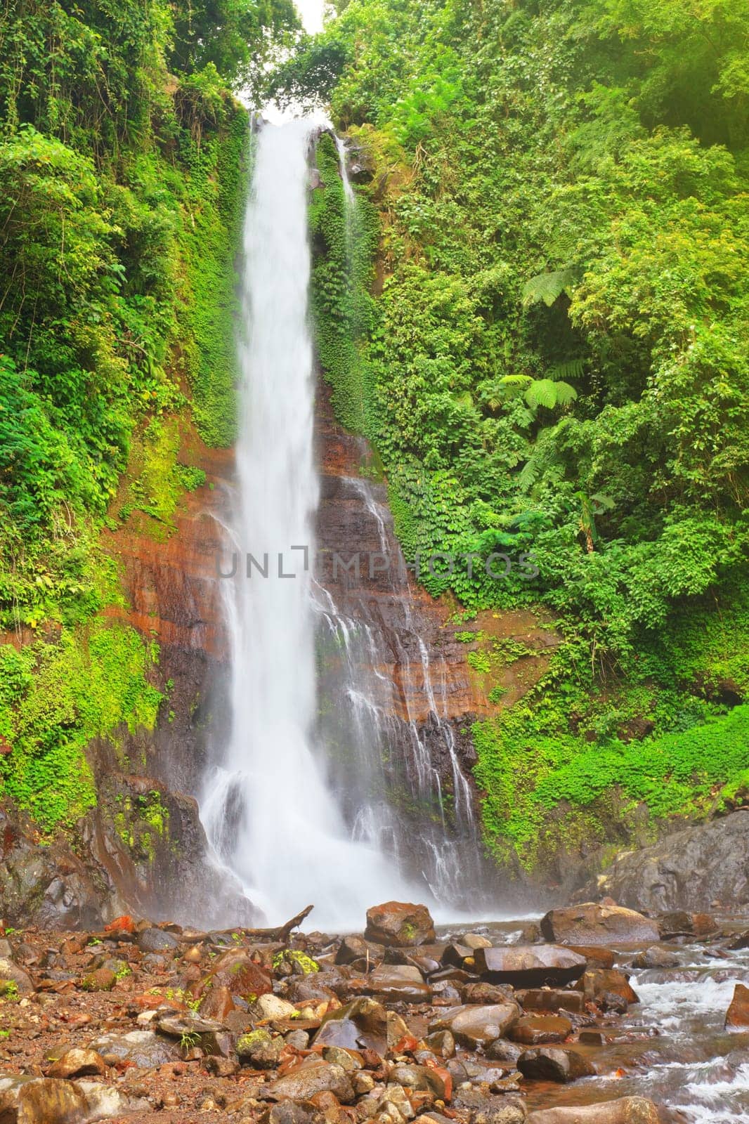 Beautiful waterfall in rainforest. Bali