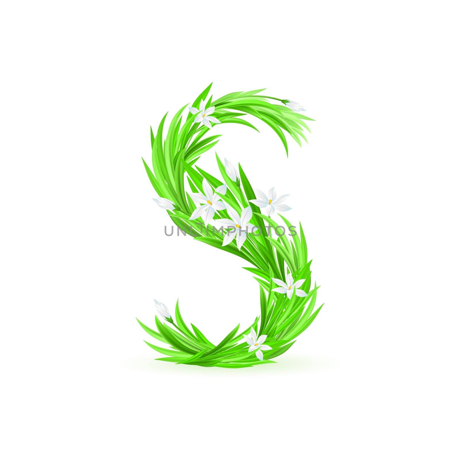 One letter of spring flowers alphabet - S. Illustration on white background