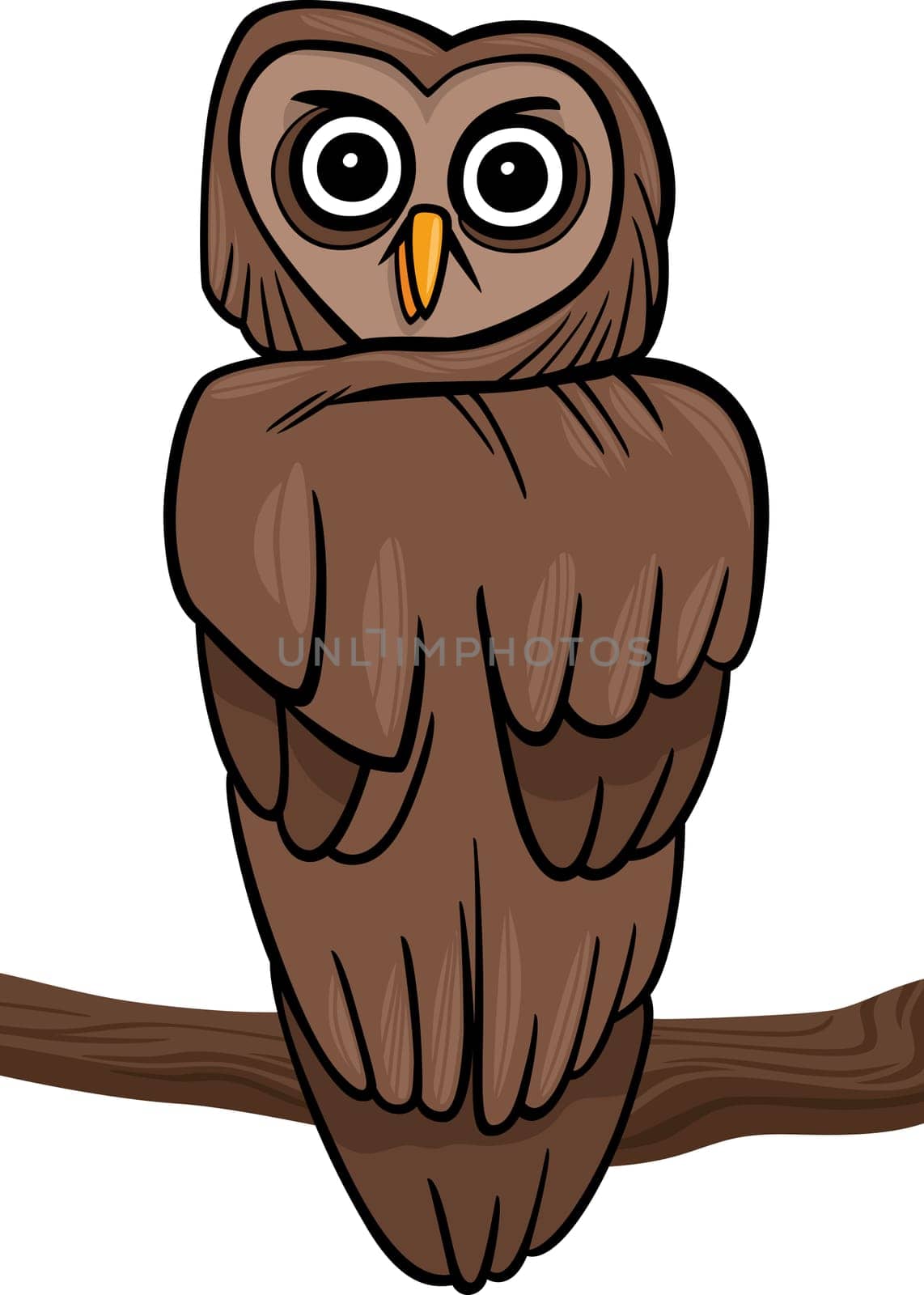 cartoon illustration of owl on the branch