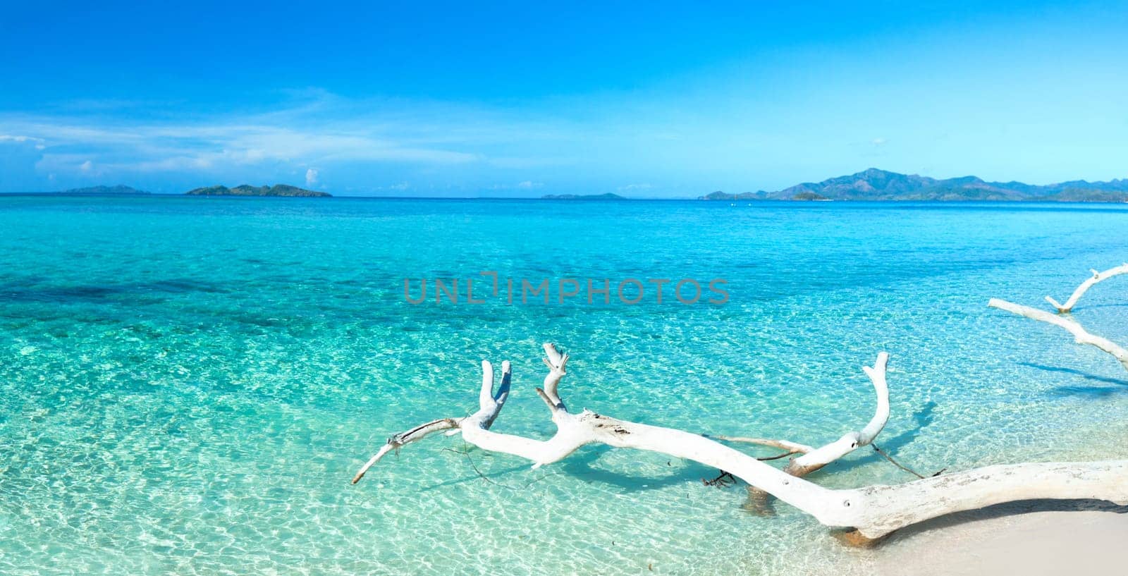 Tropical beach Malcapuya at summer sunny day. Panorama