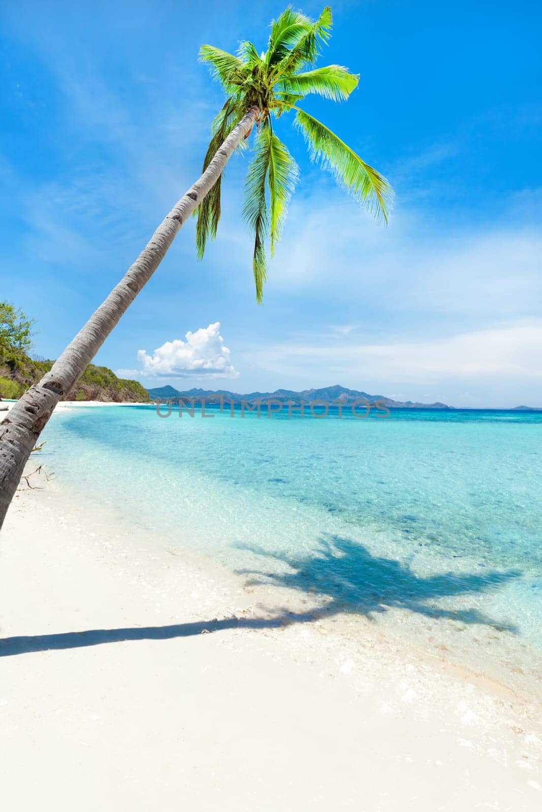 Tropical sandy beach Malcapuya at summer sunny day
