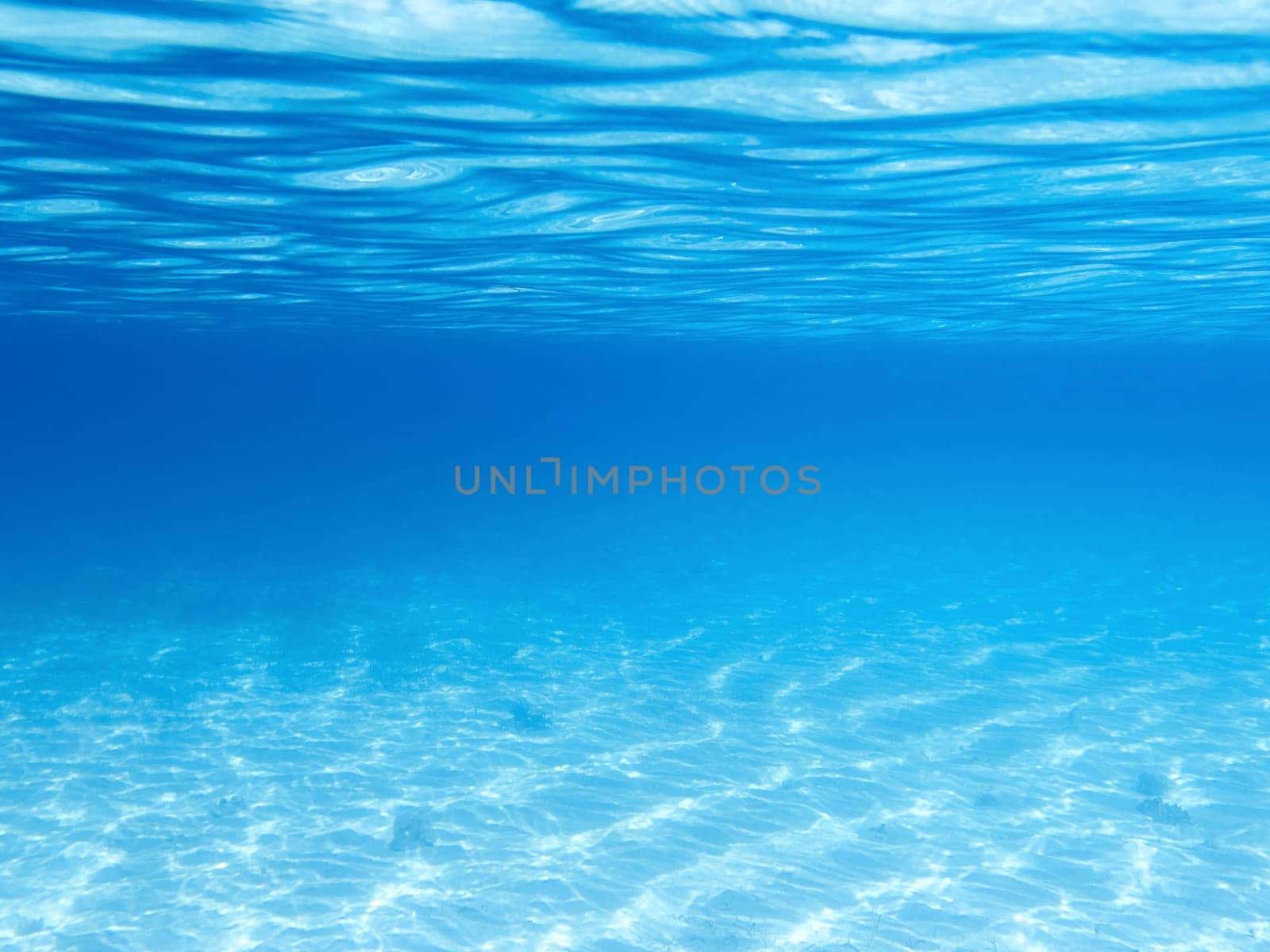 Sandy bottom, blue and surface  underwater