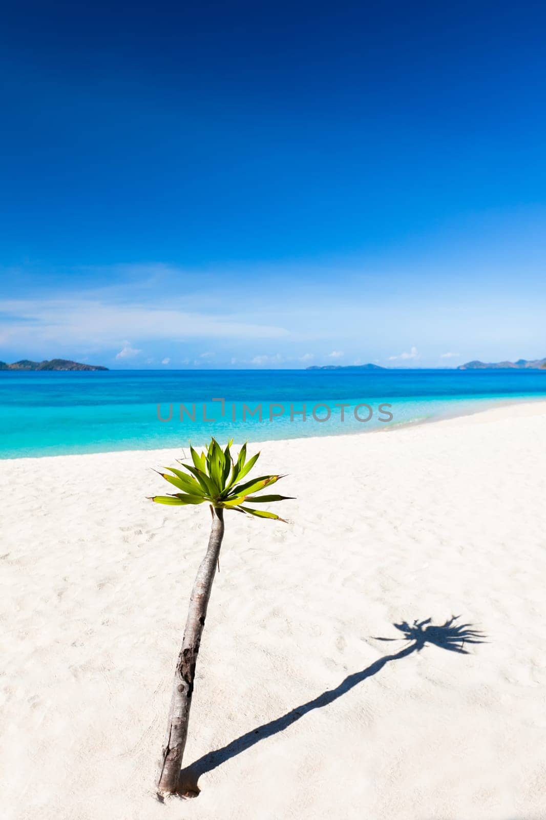 Tropical sandy beach Malcapuya at summer sunny day