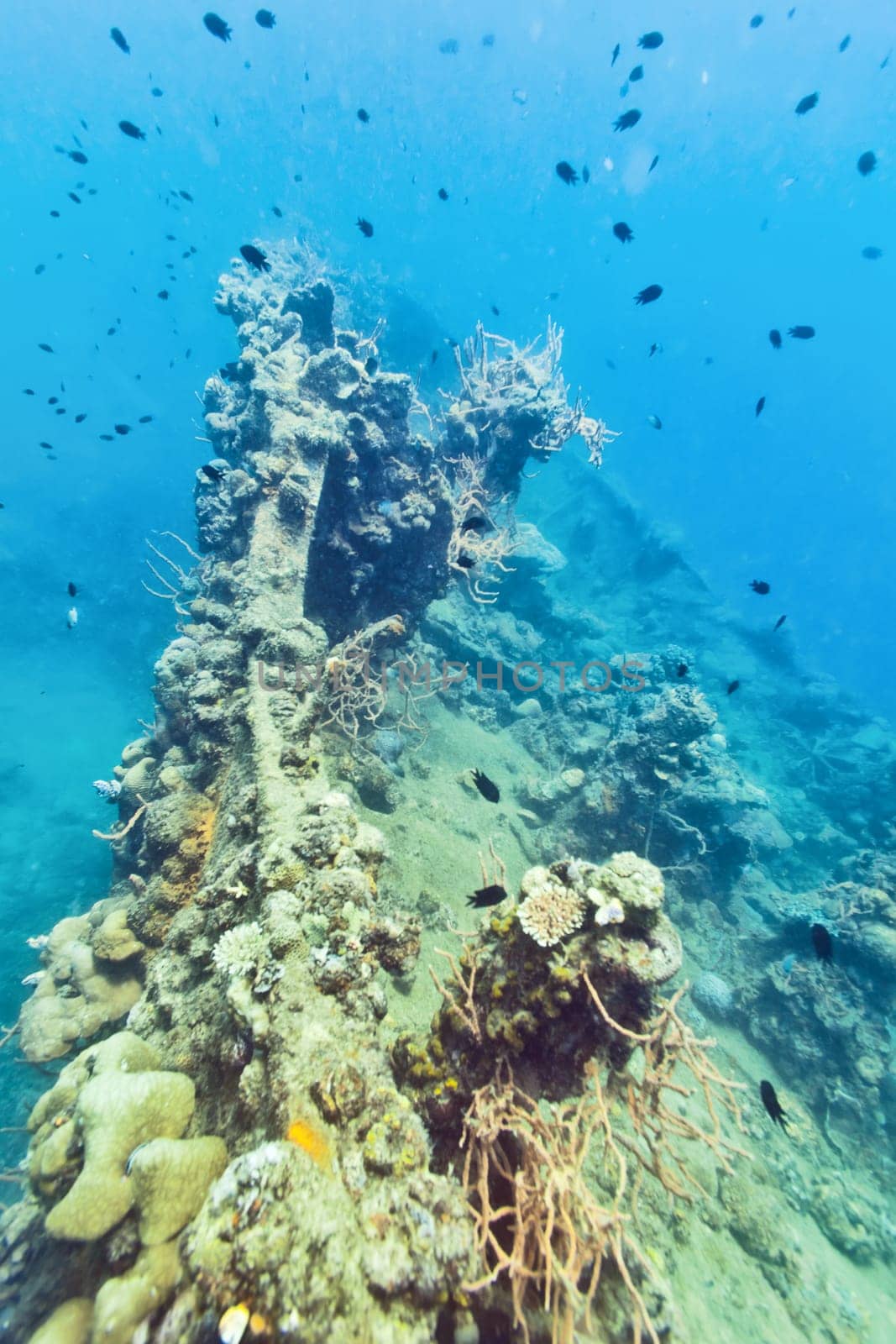Shipwreck underwater. Sunken gunboat at Lusong Island