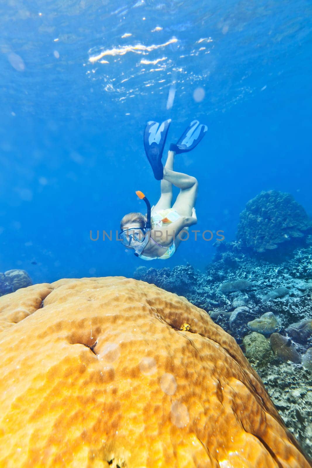 Beautiful woman diver swimming among the coral reef